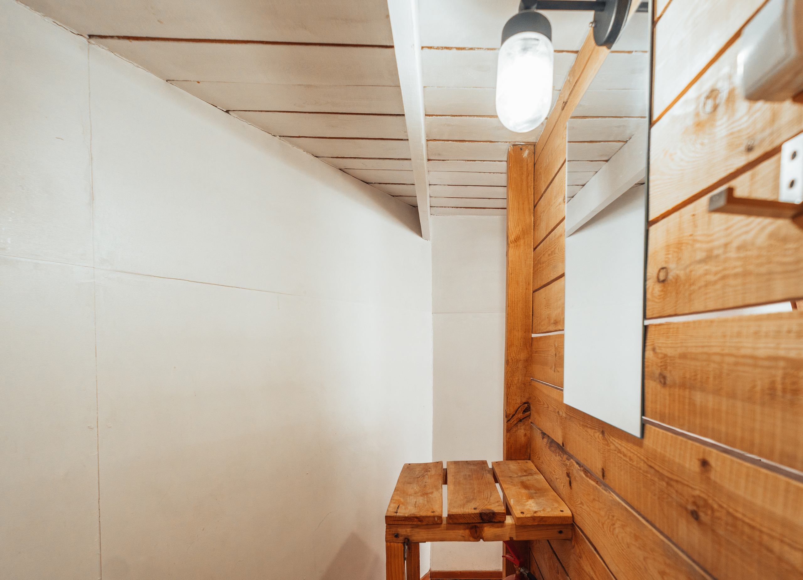 Клевер, Никола — Ленивец. @tomrus: Рустам Шагиморданов — фотограф