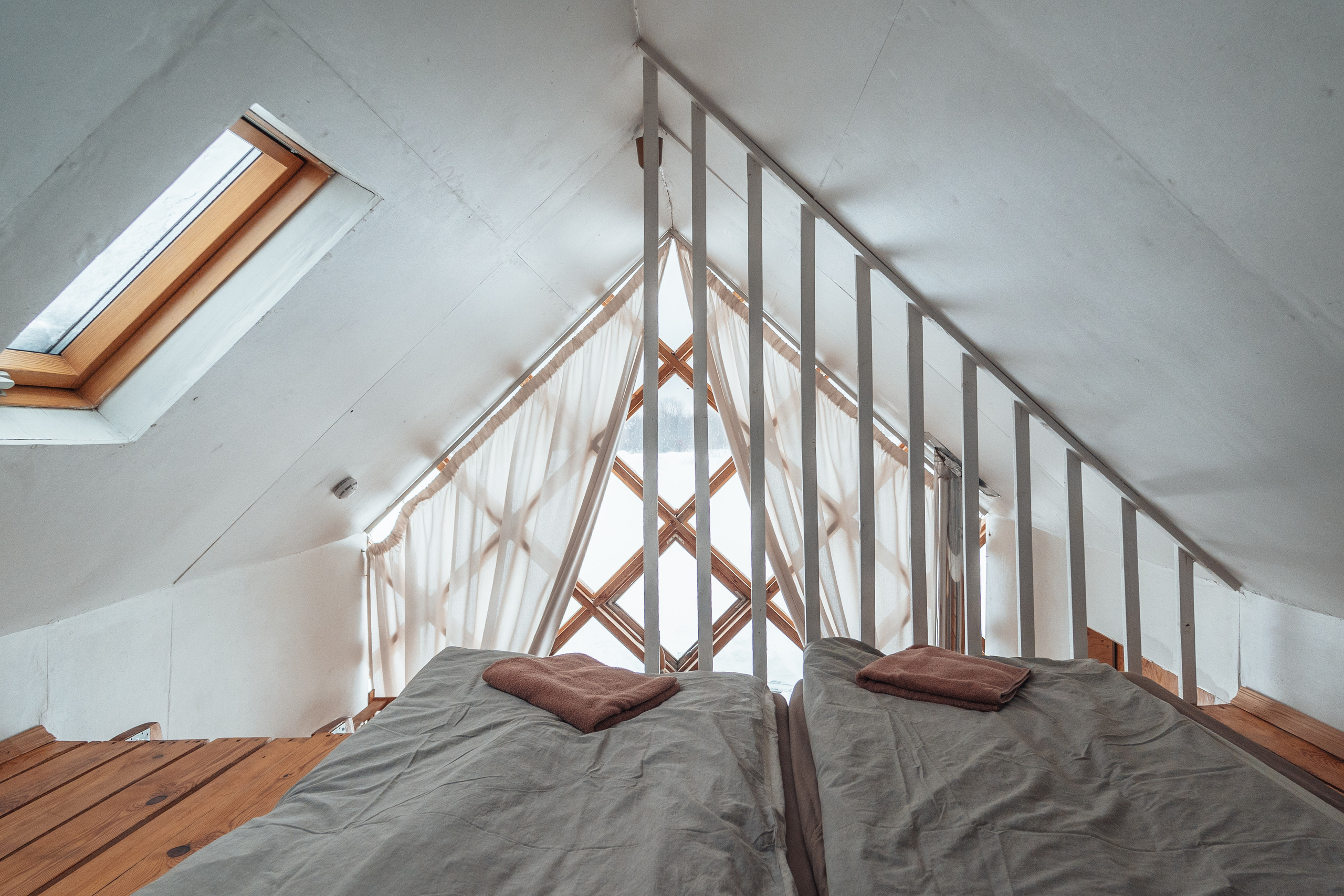 Клевер, Никола — Ленивец. @tomrus: Рустам Шагиморданов — фотограф