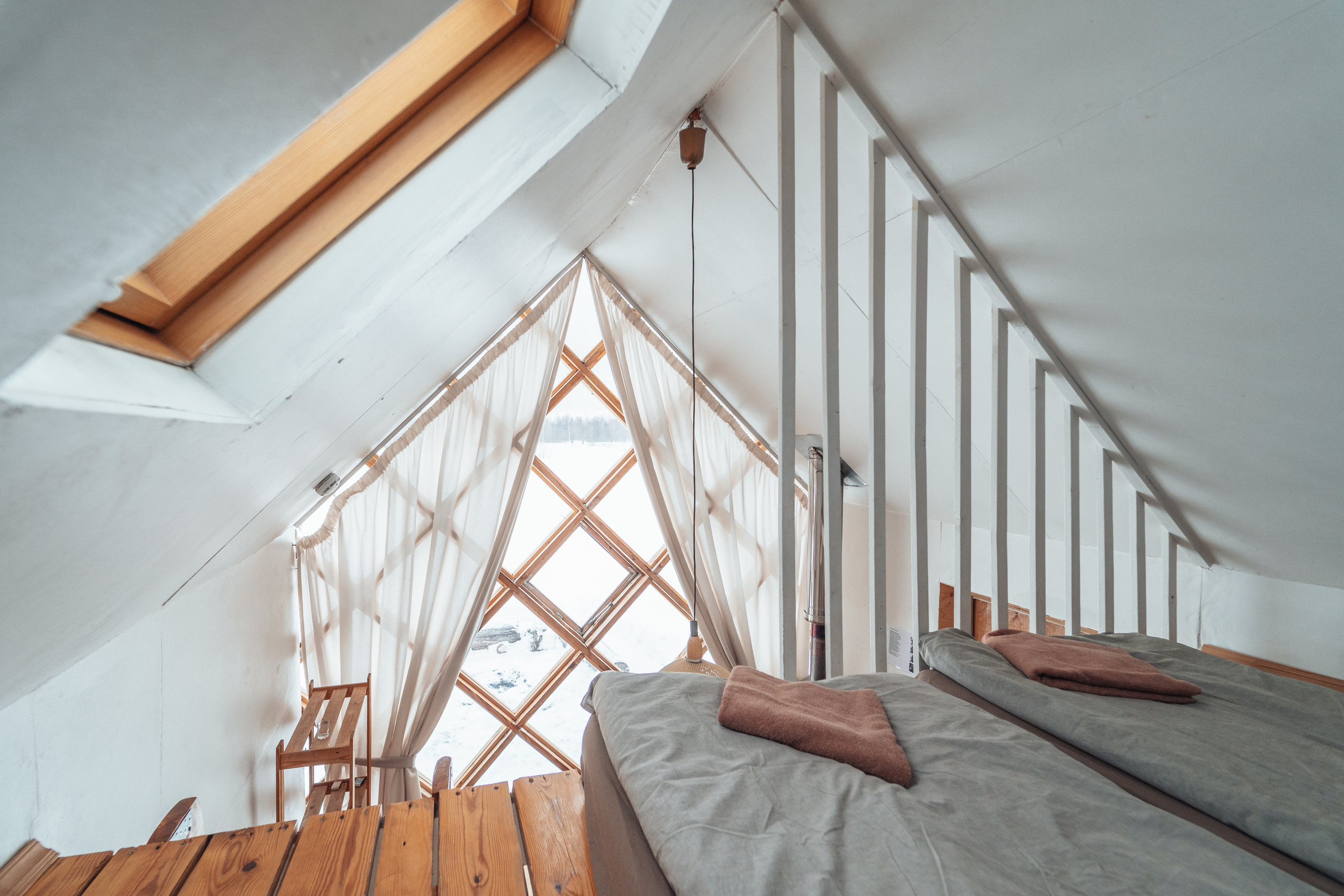 Клевер, Никола — Ленивец. @tomrus: Рустам Шагиморданов — фотограф