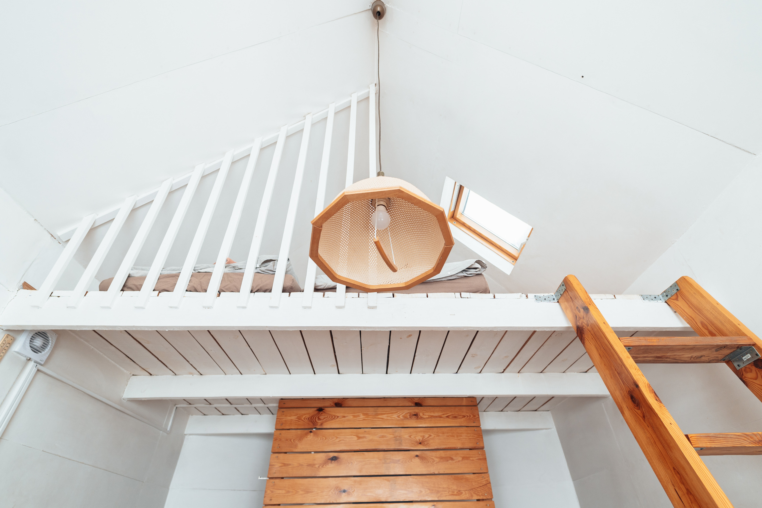 Клевер, Никола — Ленивец. @tomrus: Рустам Шагиморданов — фотограф