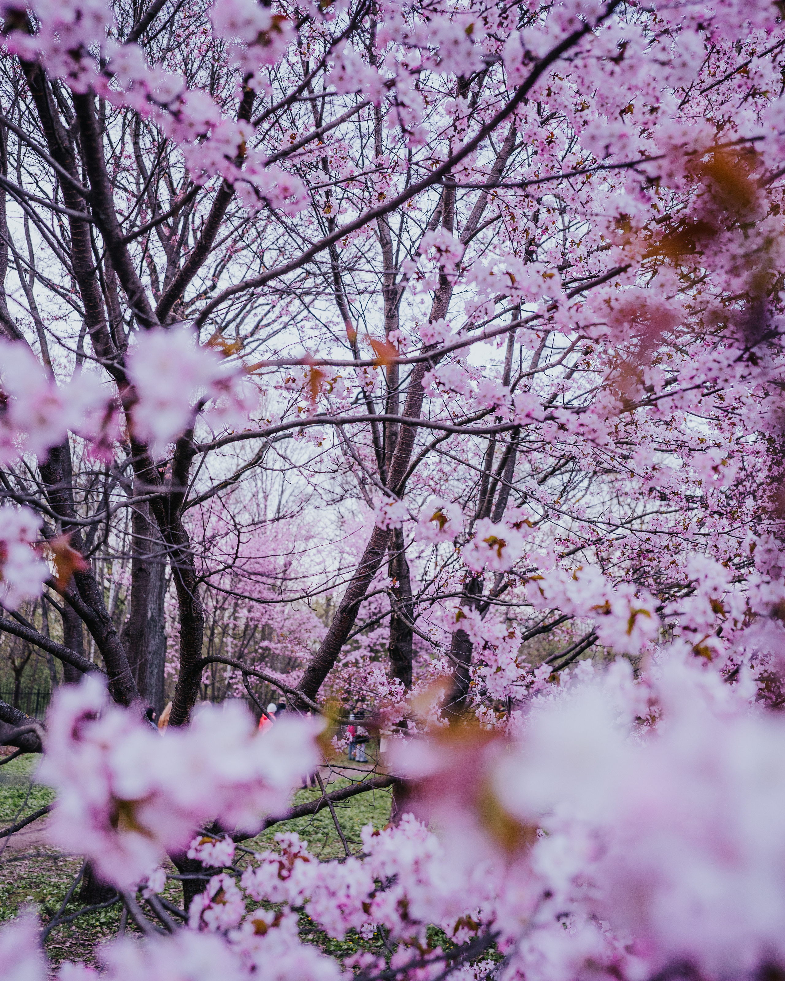 Landscape / Пейзаж. @tomrus: Рустам Шагиморданов — фотограф