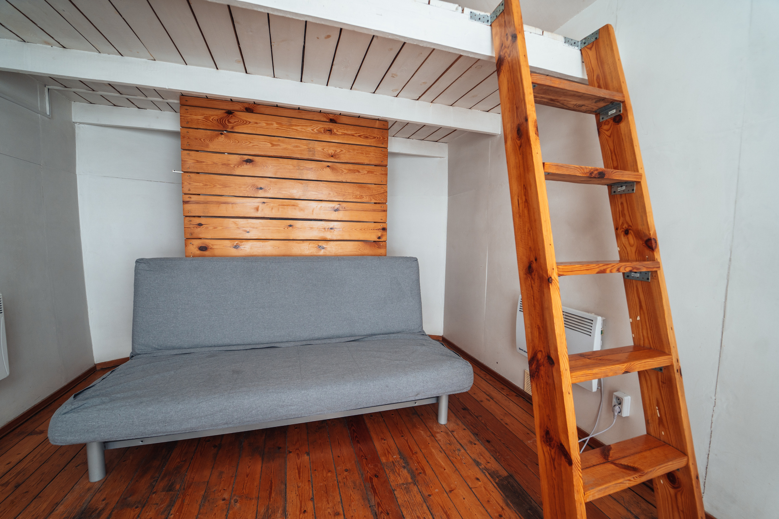 Клевер, Никола — Ленивец. @tomrus: Рустам Шагиморданов — фотограф