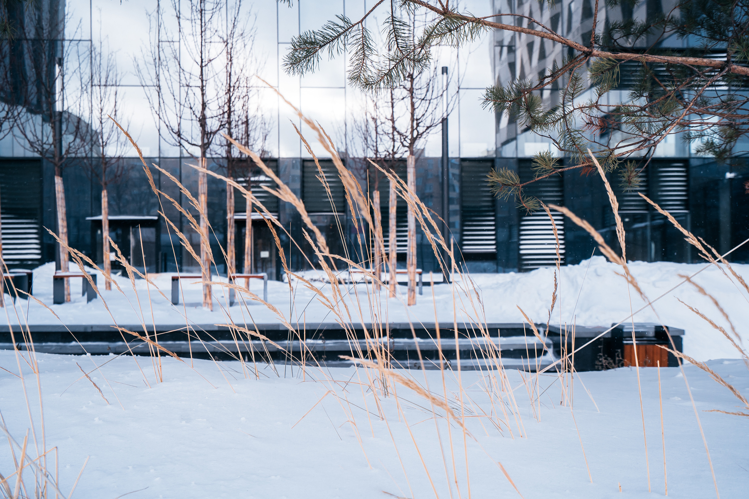 D1, MR Group. @tomrus: Рустам Шагиморданов — фотограф