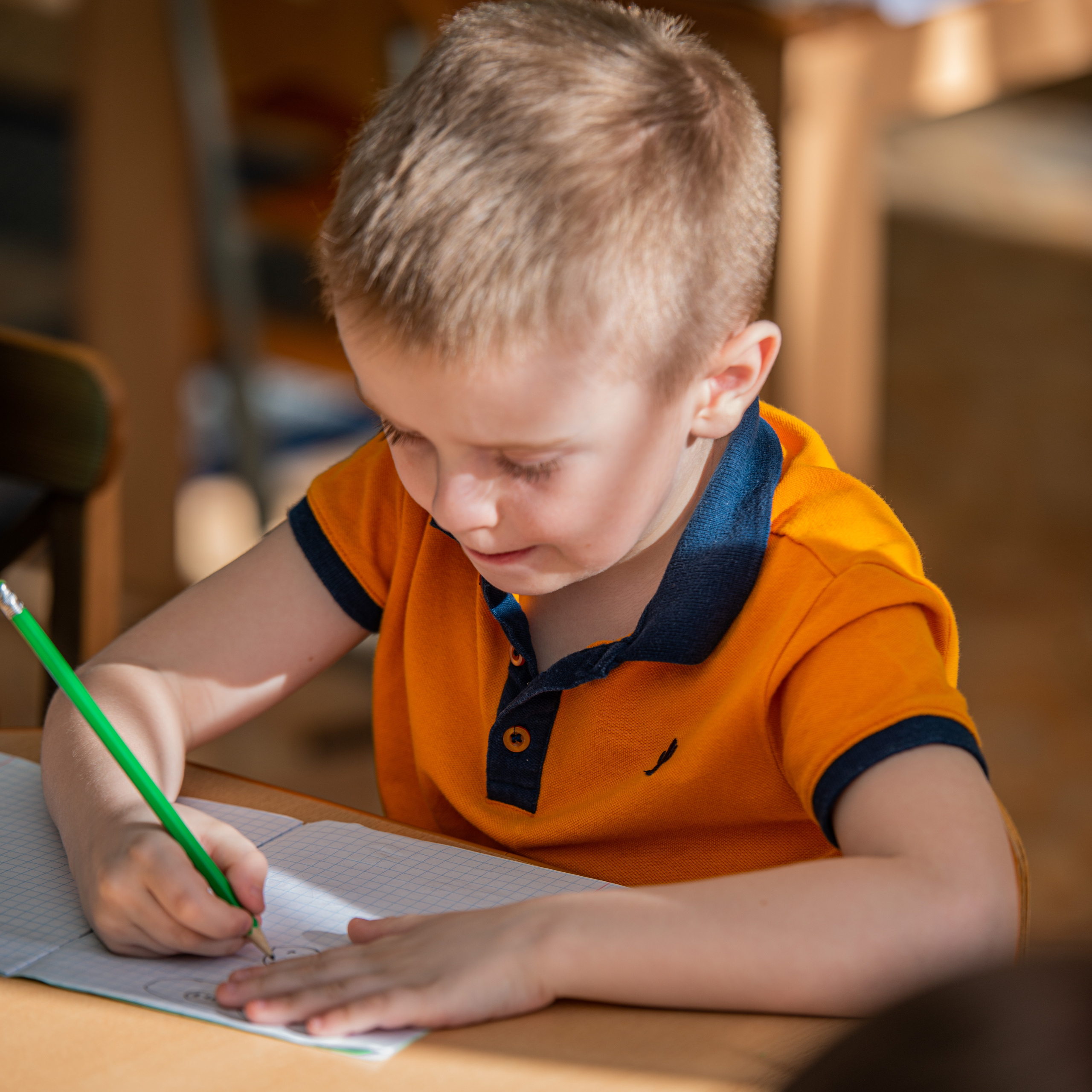 Фотографии. Фотограф Сологуб Алексей Семенович