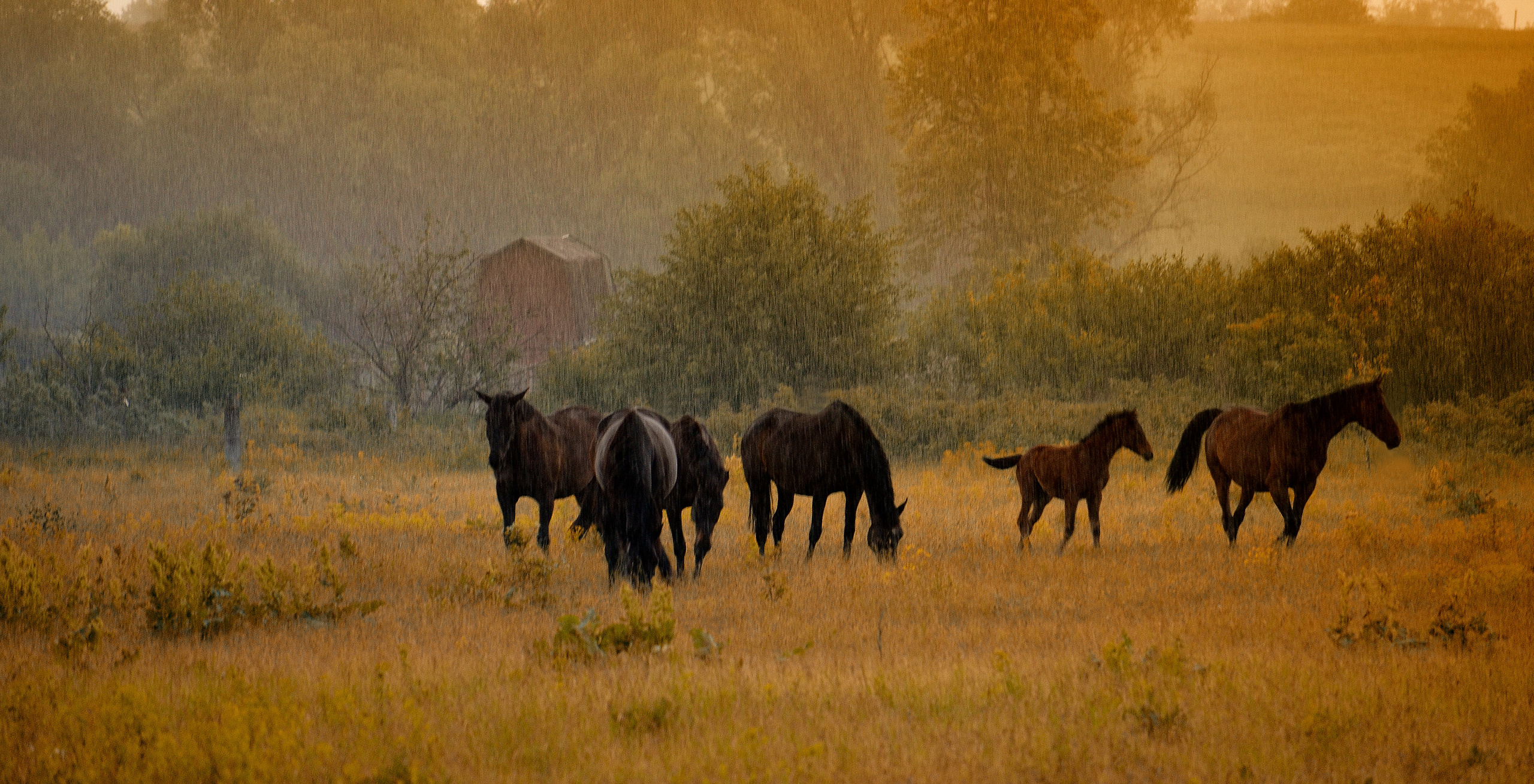 Фотограф Сологуб Алексей Семенович