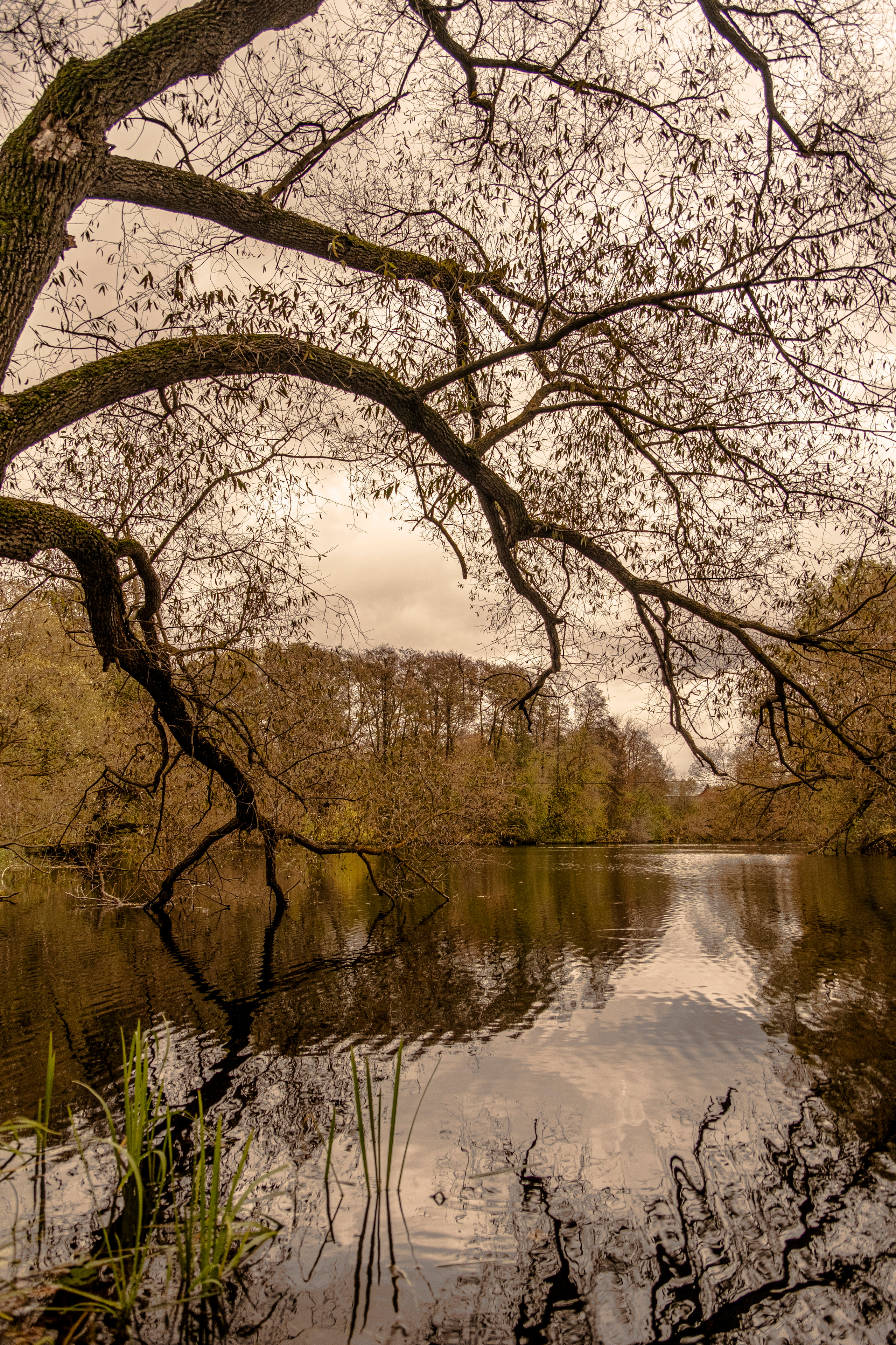 Пейзажи. Фотограф Сологуб Алексей Семенович