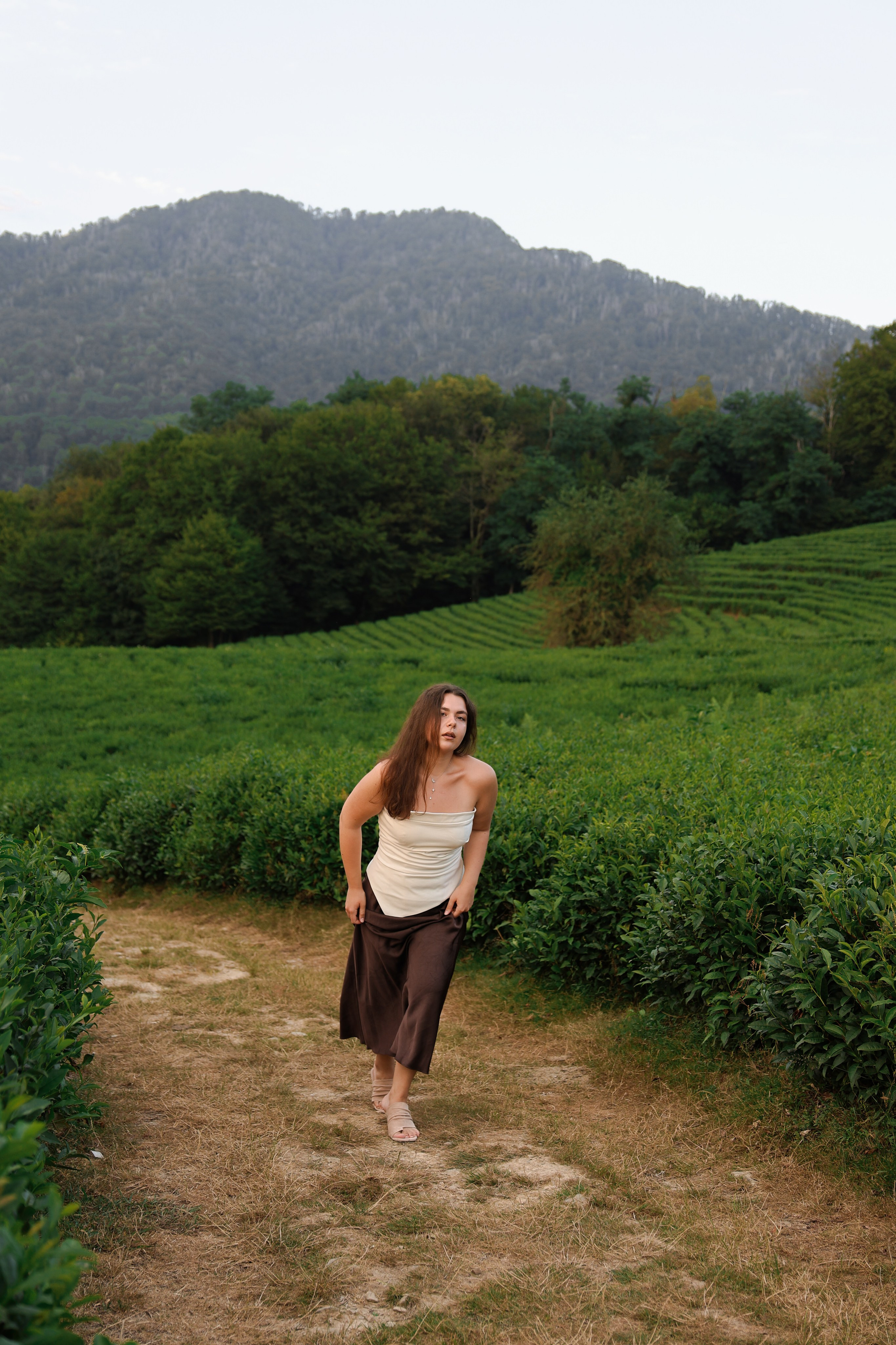 ЧАЙНЫЕ ПЛАНТАЦИИ. Фотограф Москва Оля Олбимак