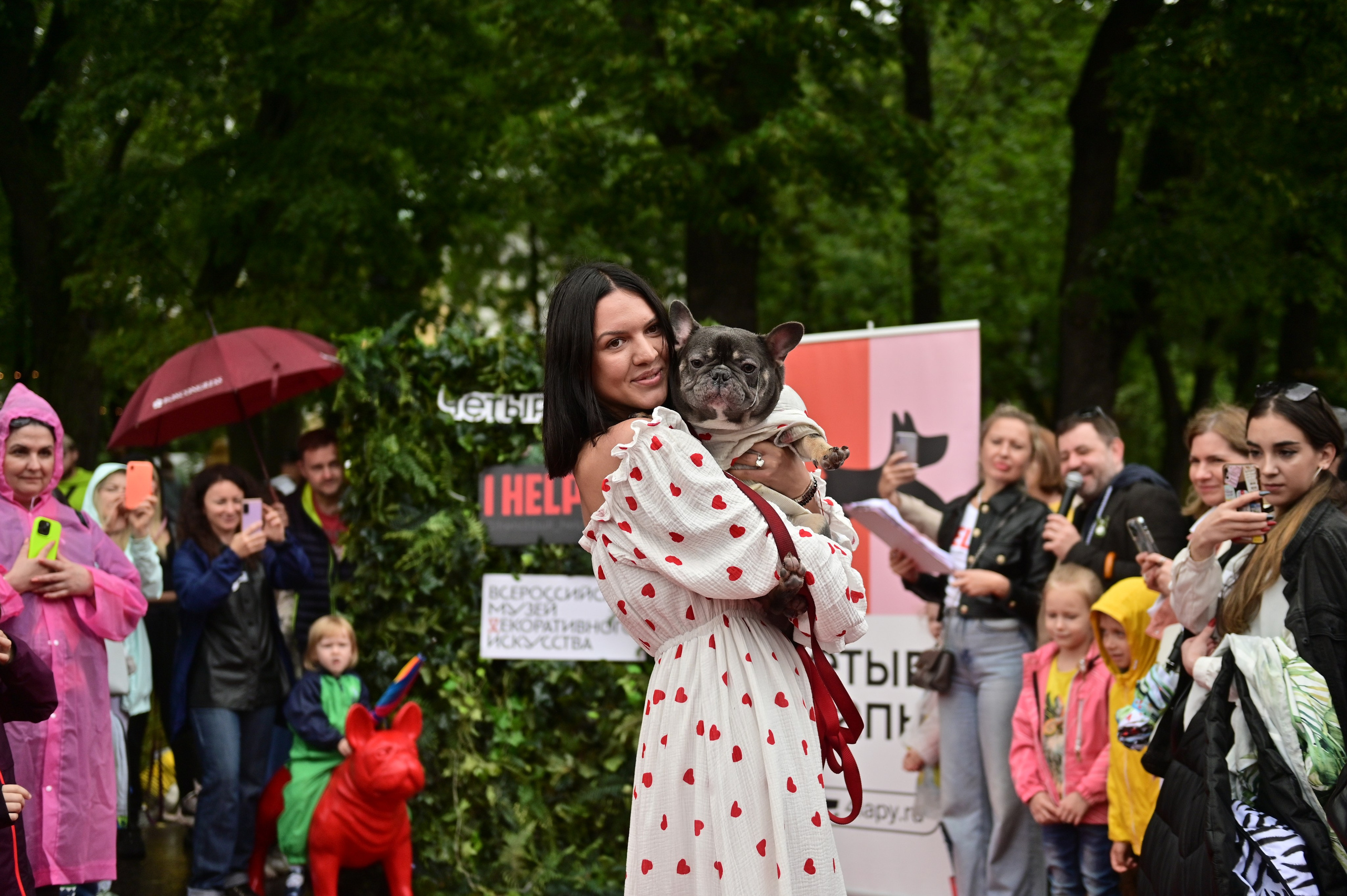 Парад французский бульдогов. Анна Пушина, фотограф, Москва, Королев, Пушкино