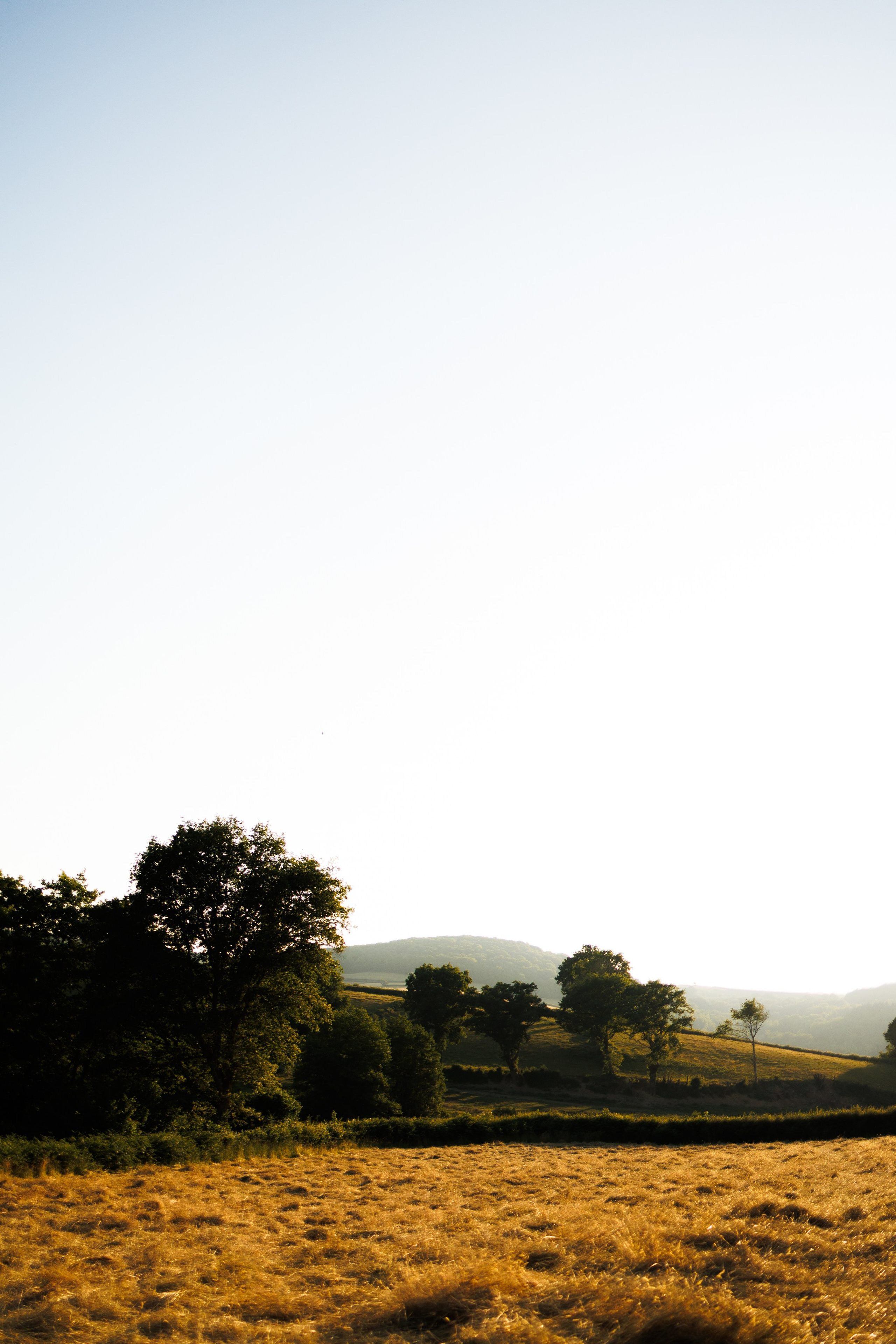 Марианна +Оливье +Габриэль + Георгий. Семейный и детский фотограф в Королёве Шарутина Лидия