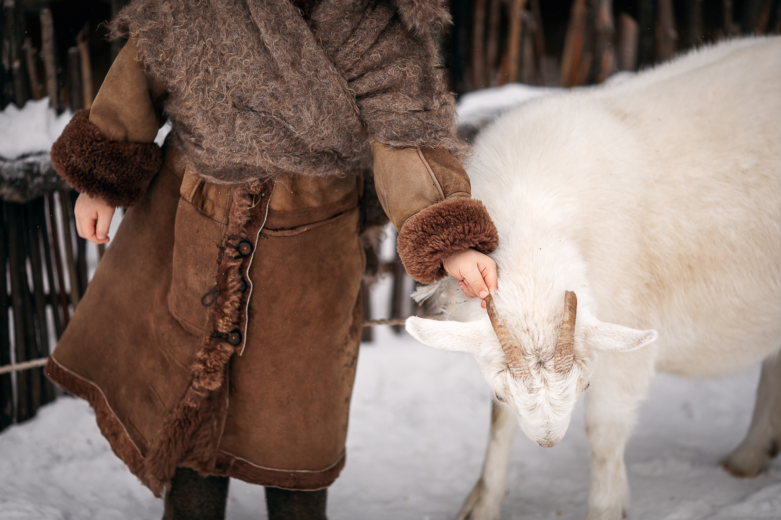 Зимушка. Детский и семейный фотограф в Красноярске Елена Коровкина