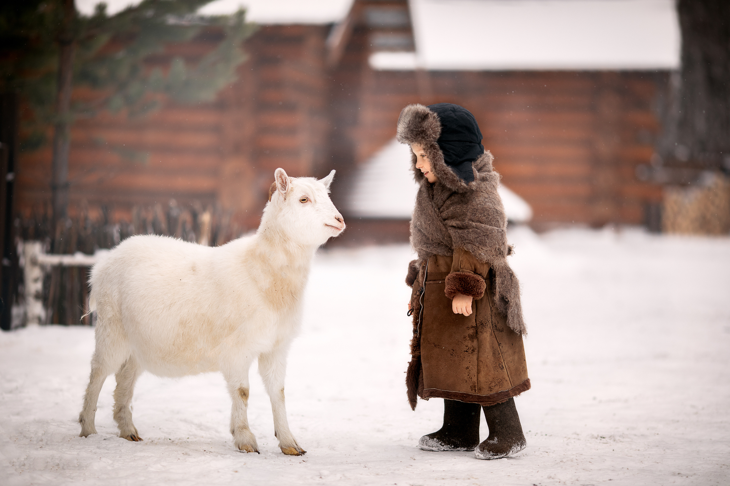 Зимушка. Детский и семейный фотограф в Красноярске Елена Коровкина