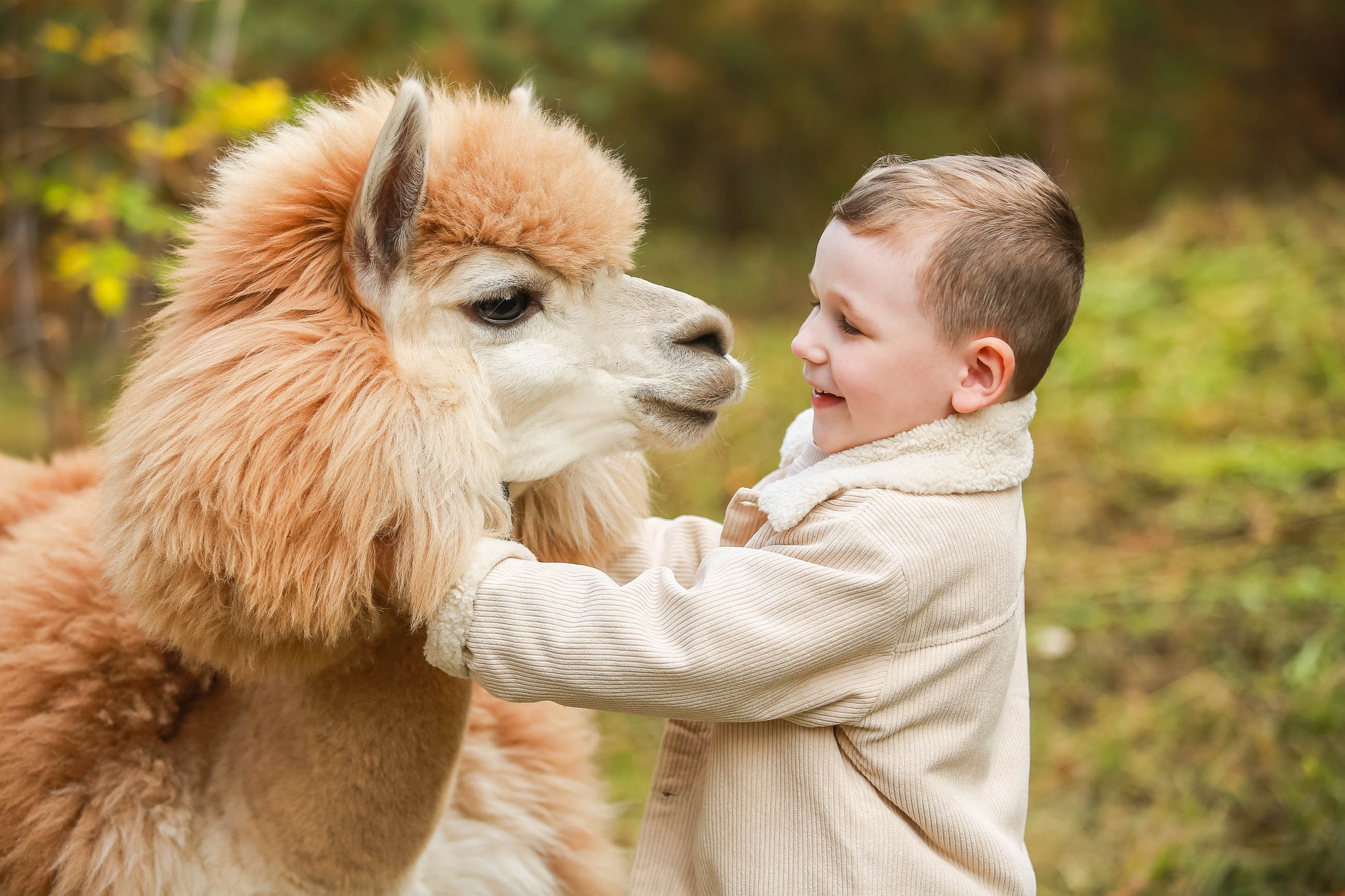 Фотосессии с альпакой Мартином и ламой Микси. Семейный и детский фотограф в Москве Мария Быкова