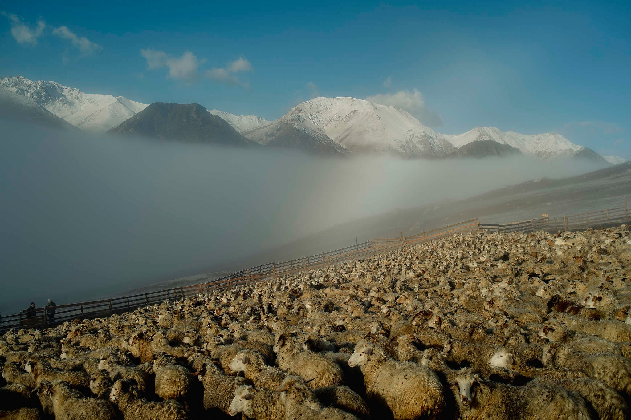 Фотограф Михаил Мордасов. 18 лет работы профессиональным фотографом. Репортажный фотограф в Сочи — Михаил Мордасов