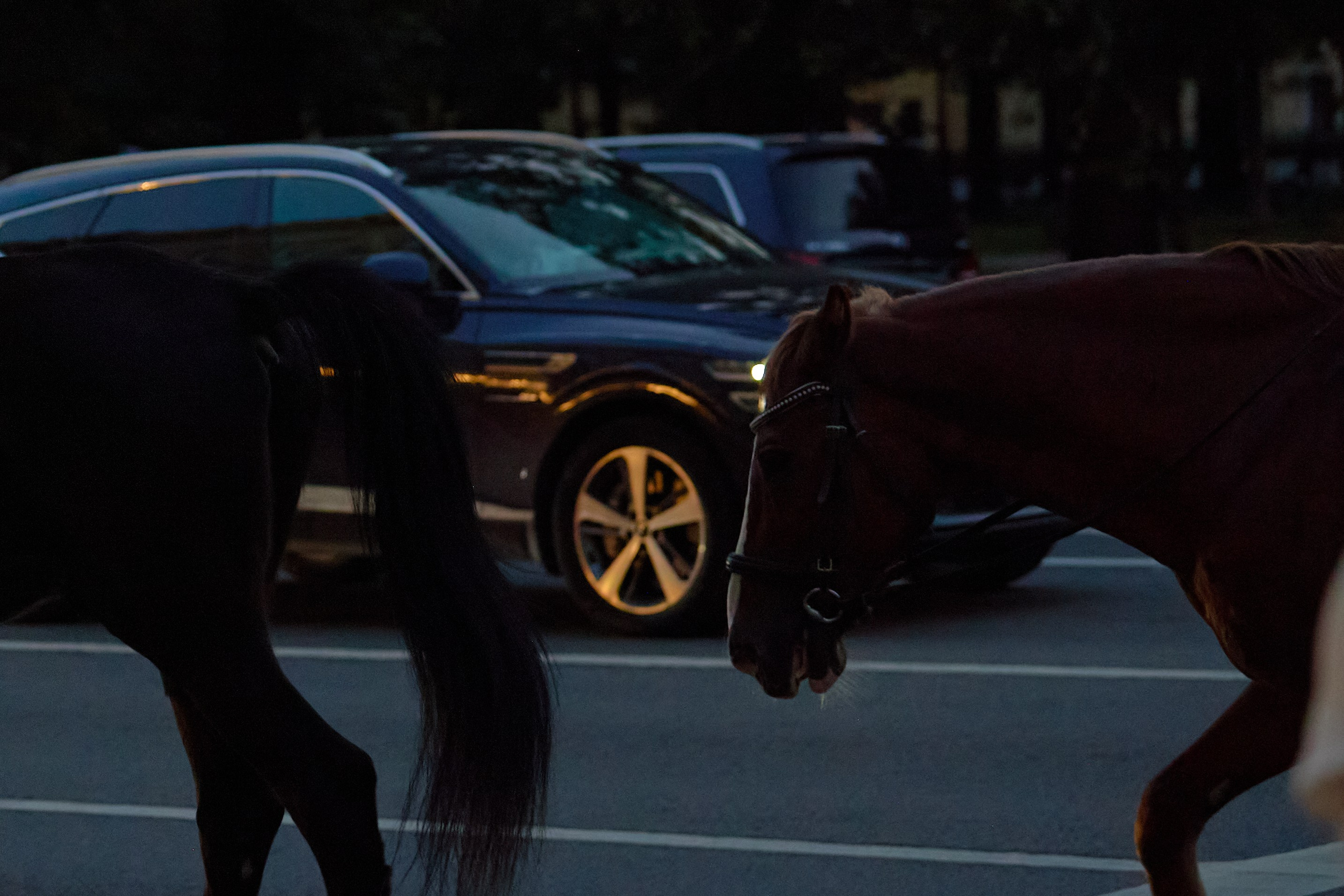 Зарисовки из поездки в Санкт-Петербург. Фотограф Антонина Гудкова