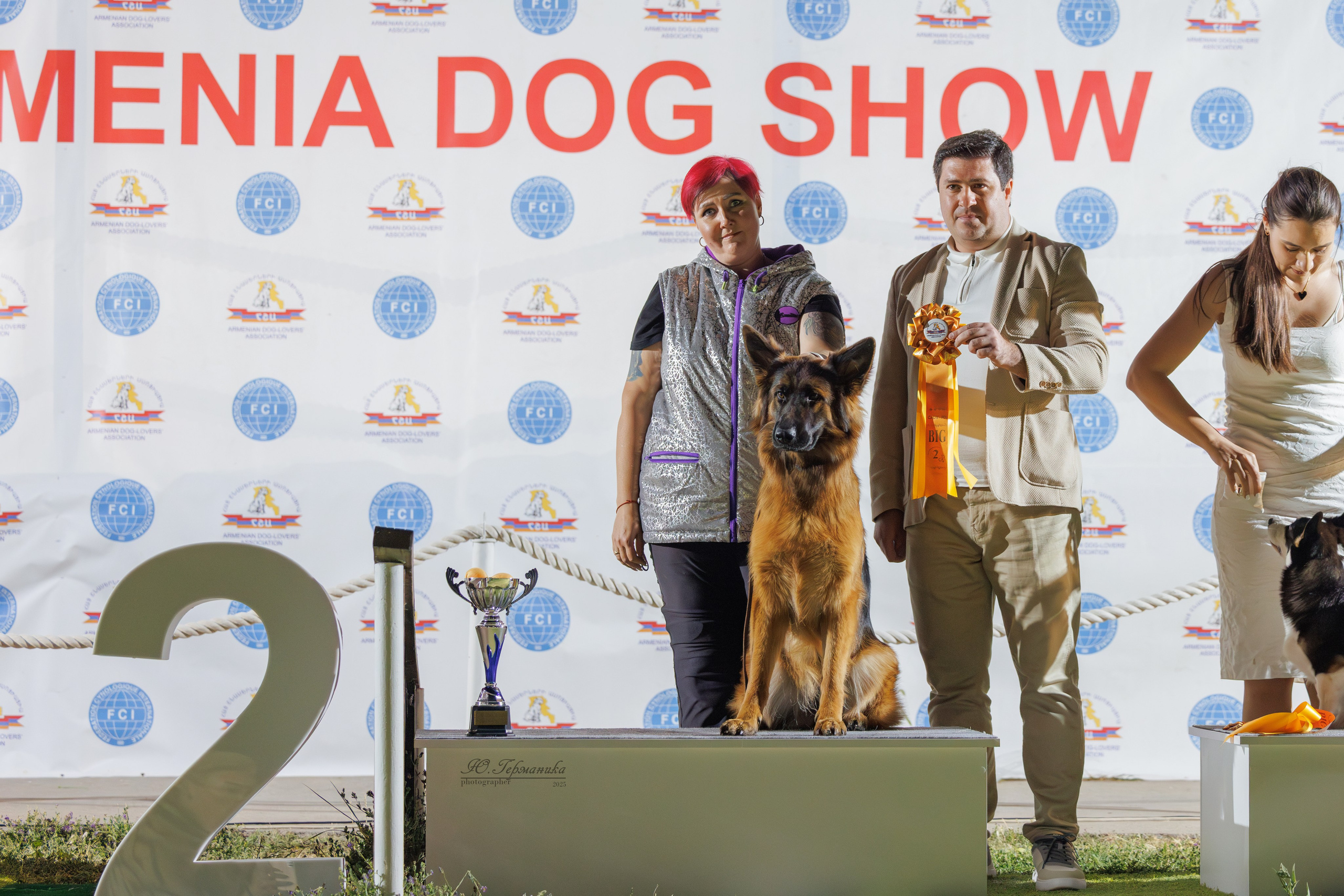 Ереван 3хCACIB 23-25.06.2025. Фотограф-анималист Юлия Германика