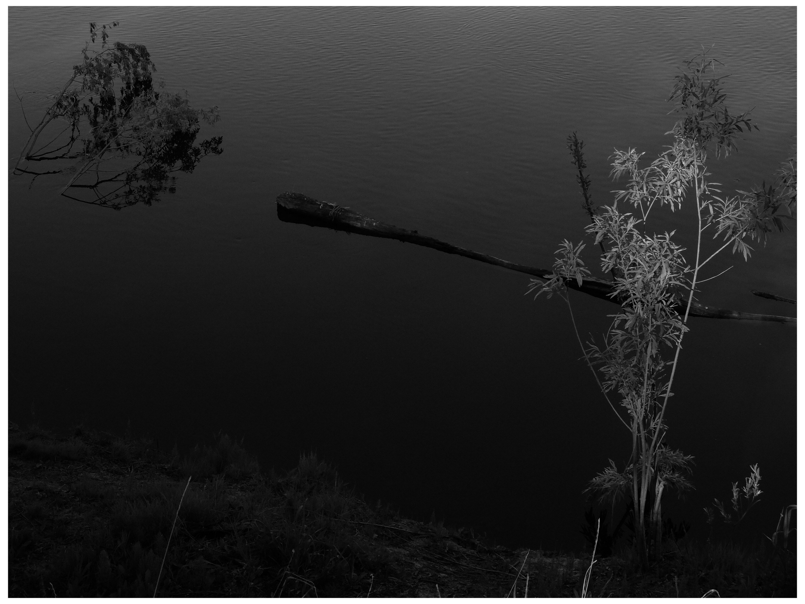 Промежуточные моменты (2022)