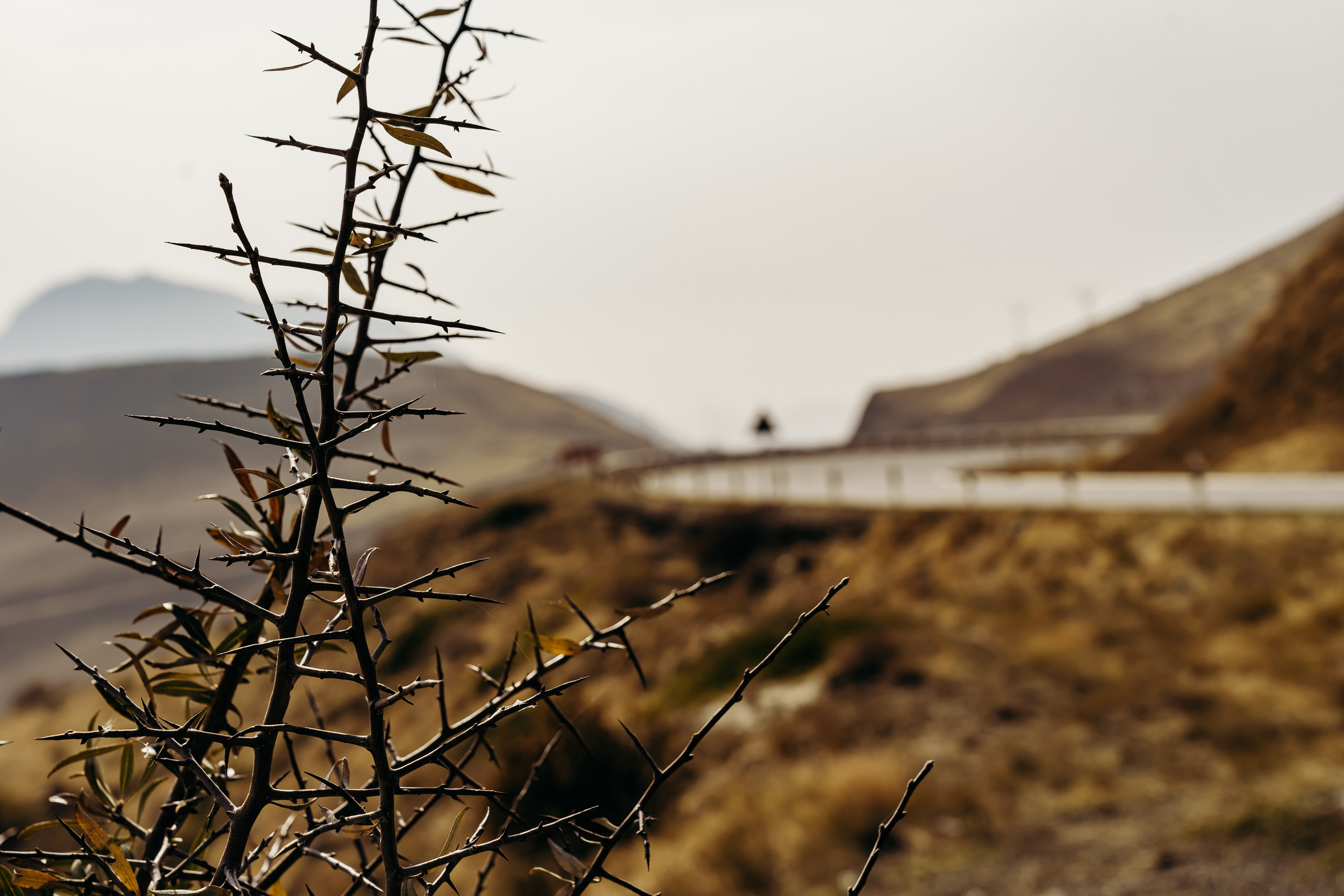Армения. Фотосъемка, свадебная фотосъемка, Москва, Нижний Новгород