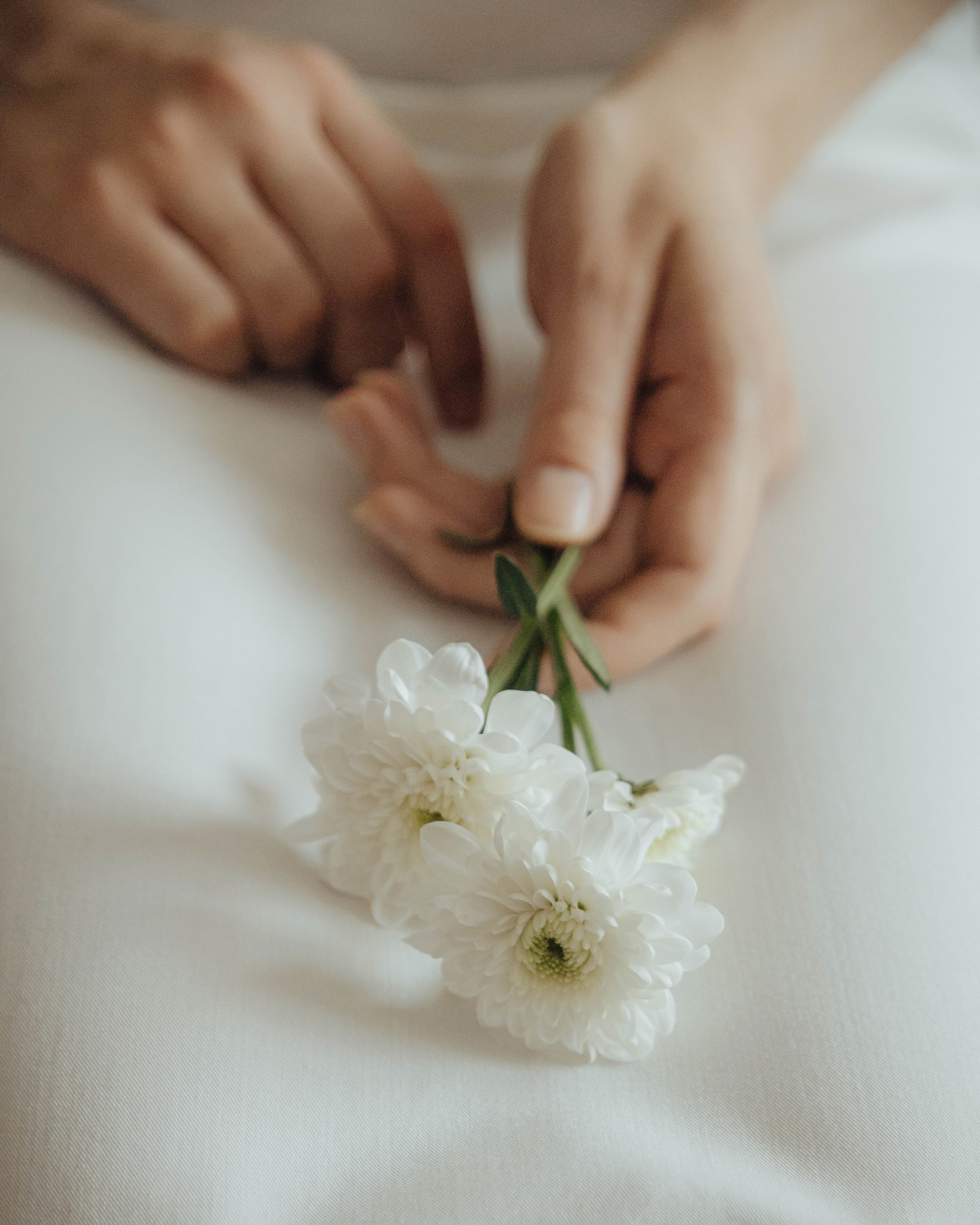 Аня. Manuphoto.ru