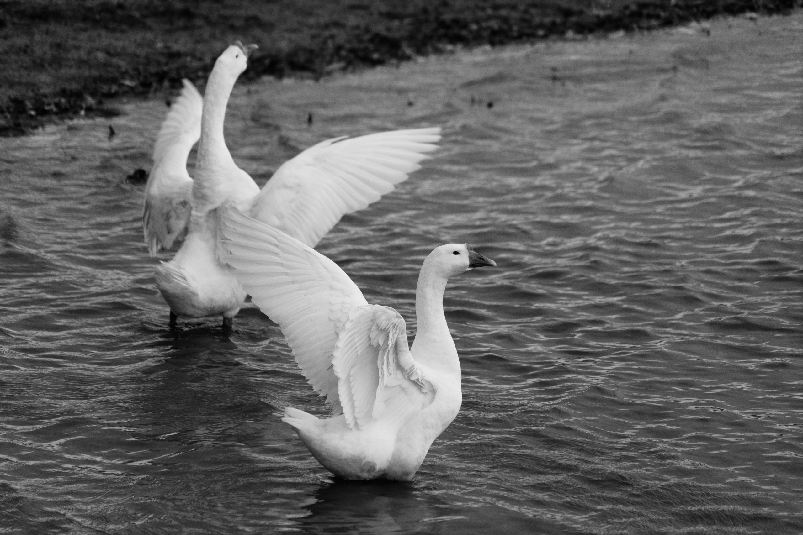 Бекстейдж сьемки кино. Профессиональная съемка в Алматы