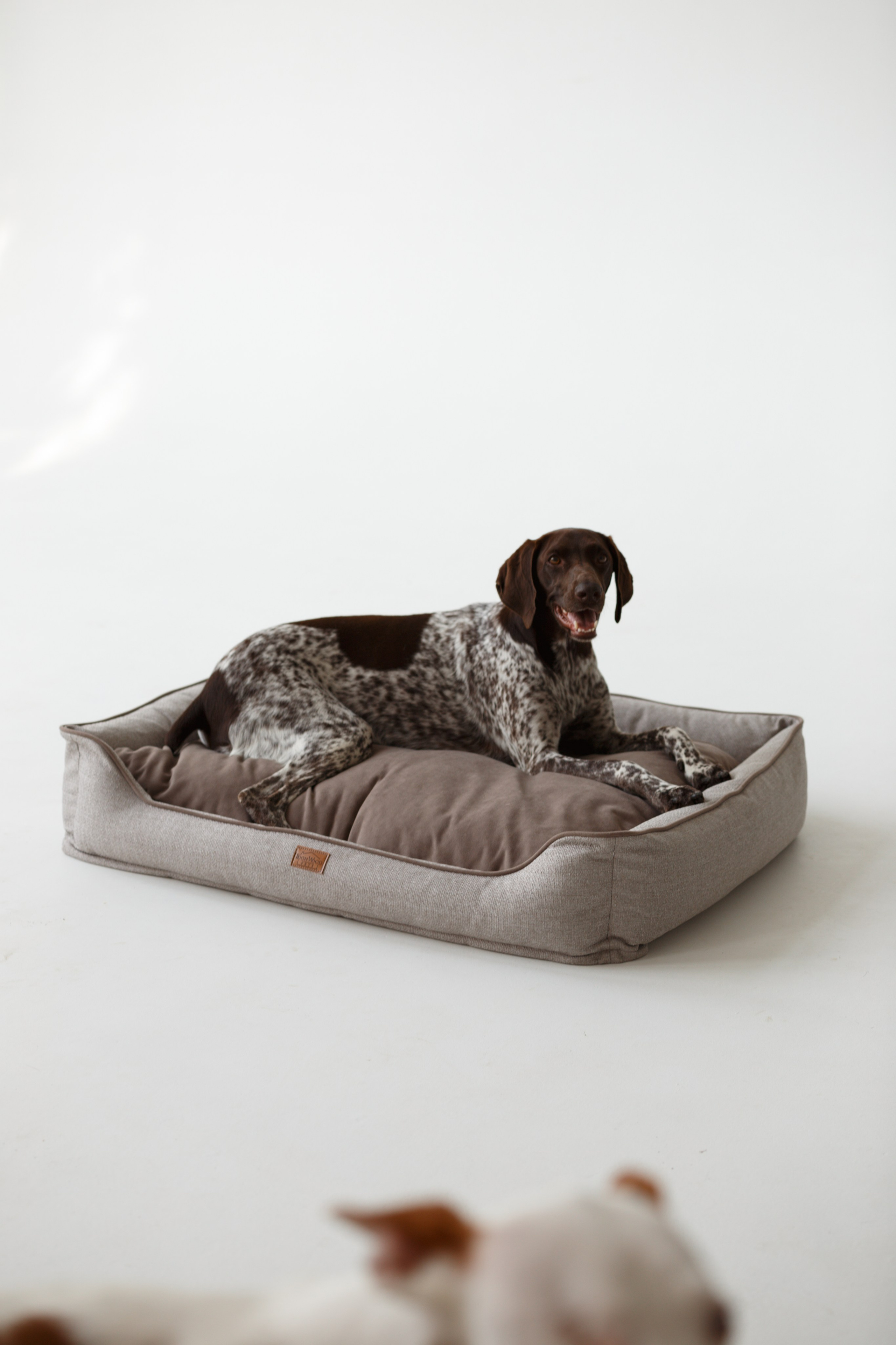 Boonwood Pets лежанки для животных. Фотограф анималист Кристина Карпова, Москва