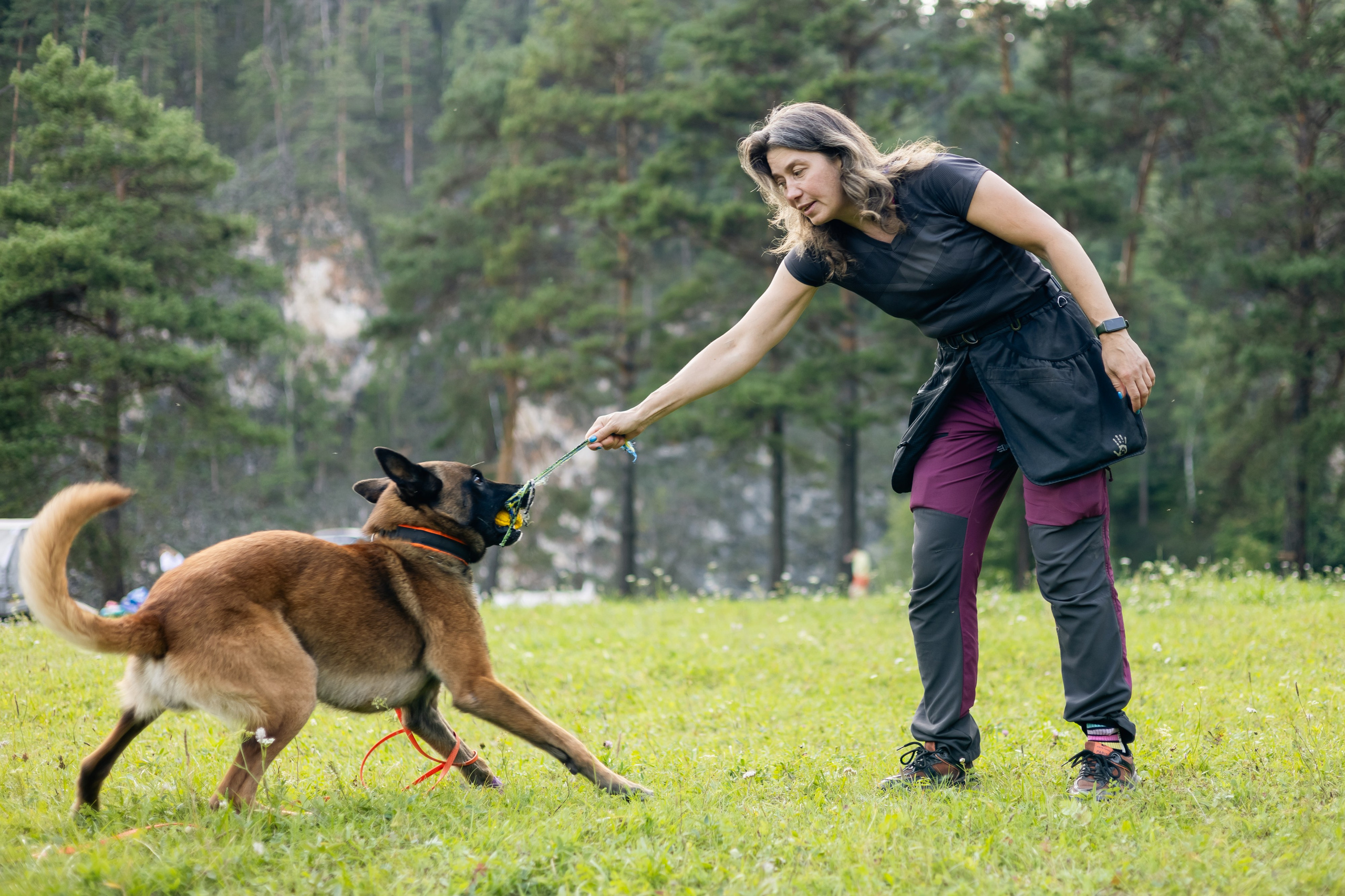 VI ОТКРЫТЫЕ КИНОЛОГИЧЕСКИЕ СОРЕВНОВАНИЯ. ЧЕЛЯБИНСКАЯ ОБЛАСТЬ 2025. Репортажный фотограф Наталья Лапцевич