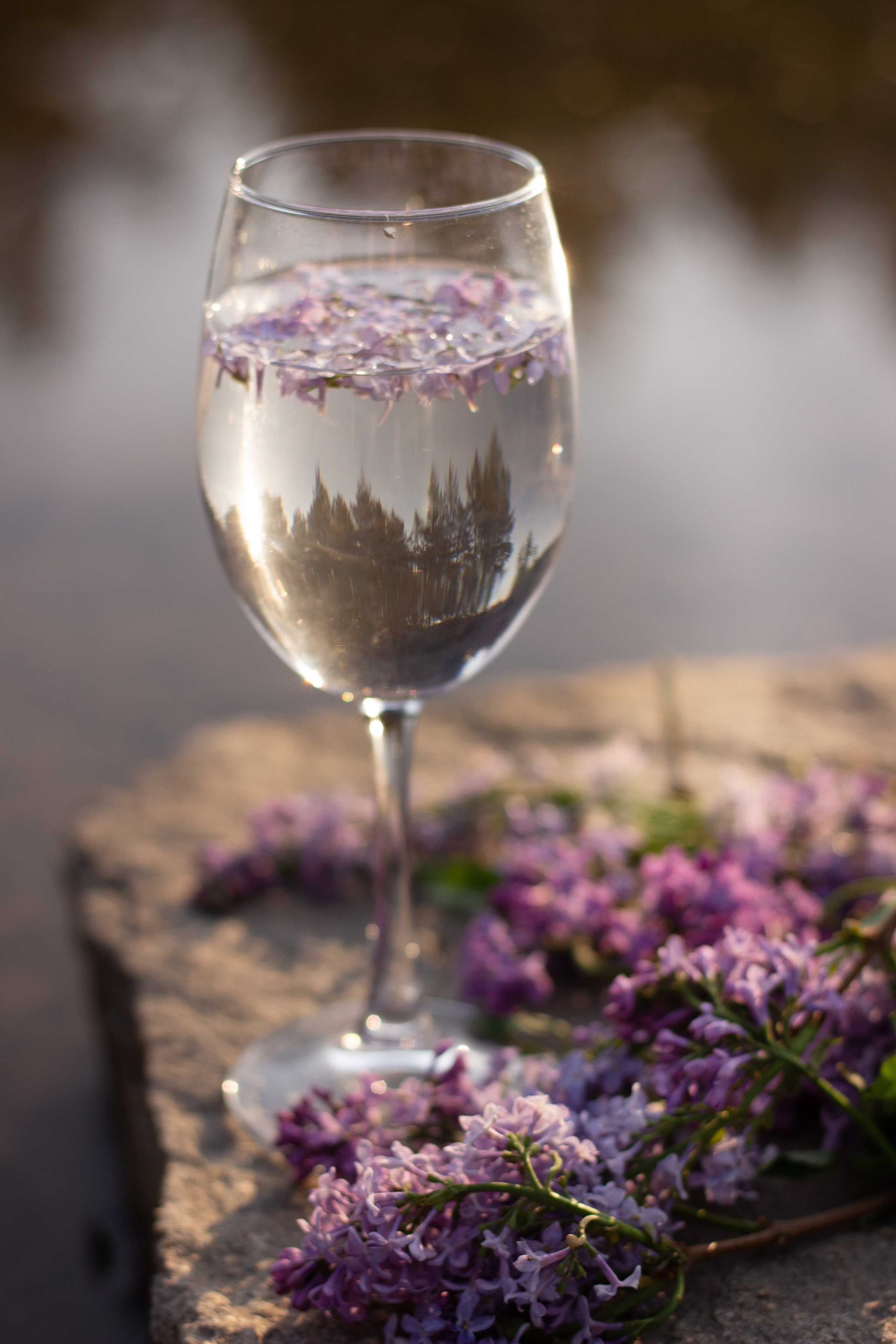 Екатерина. Детский и семейный фотограф в Челябинске Логинова Валерия