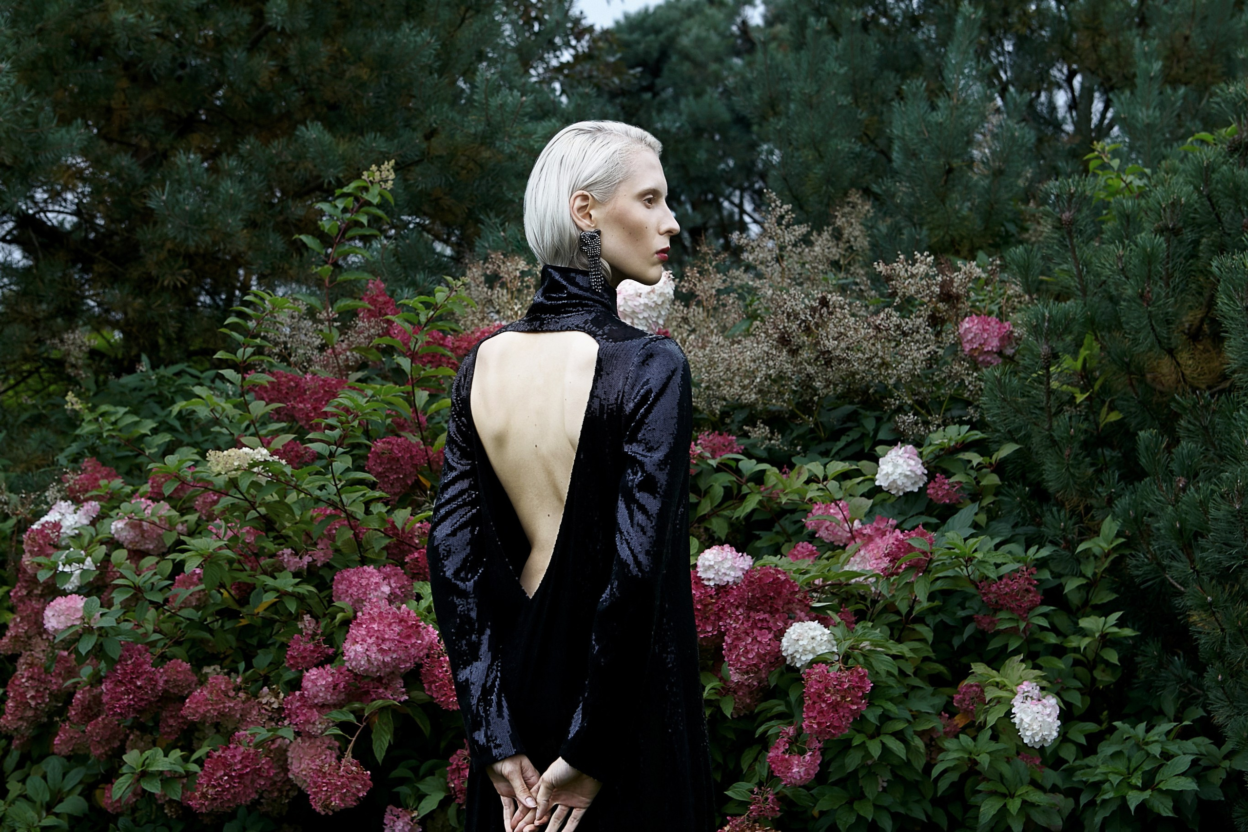 Purplehaze. Главная