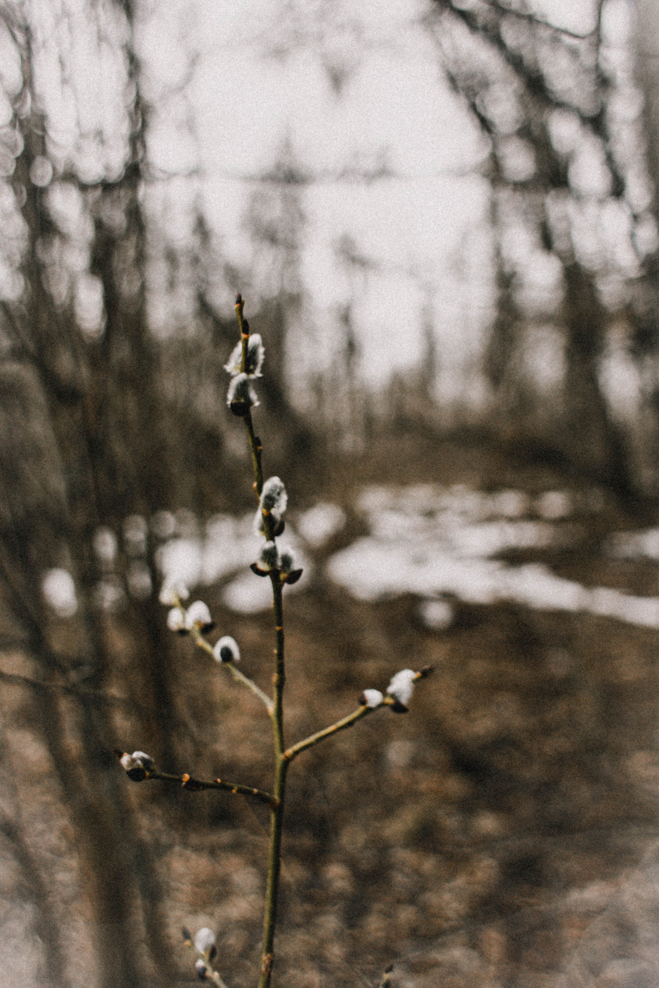 Хтонь. Весенняя Саша. Фотограф в Нижнем Новгороде