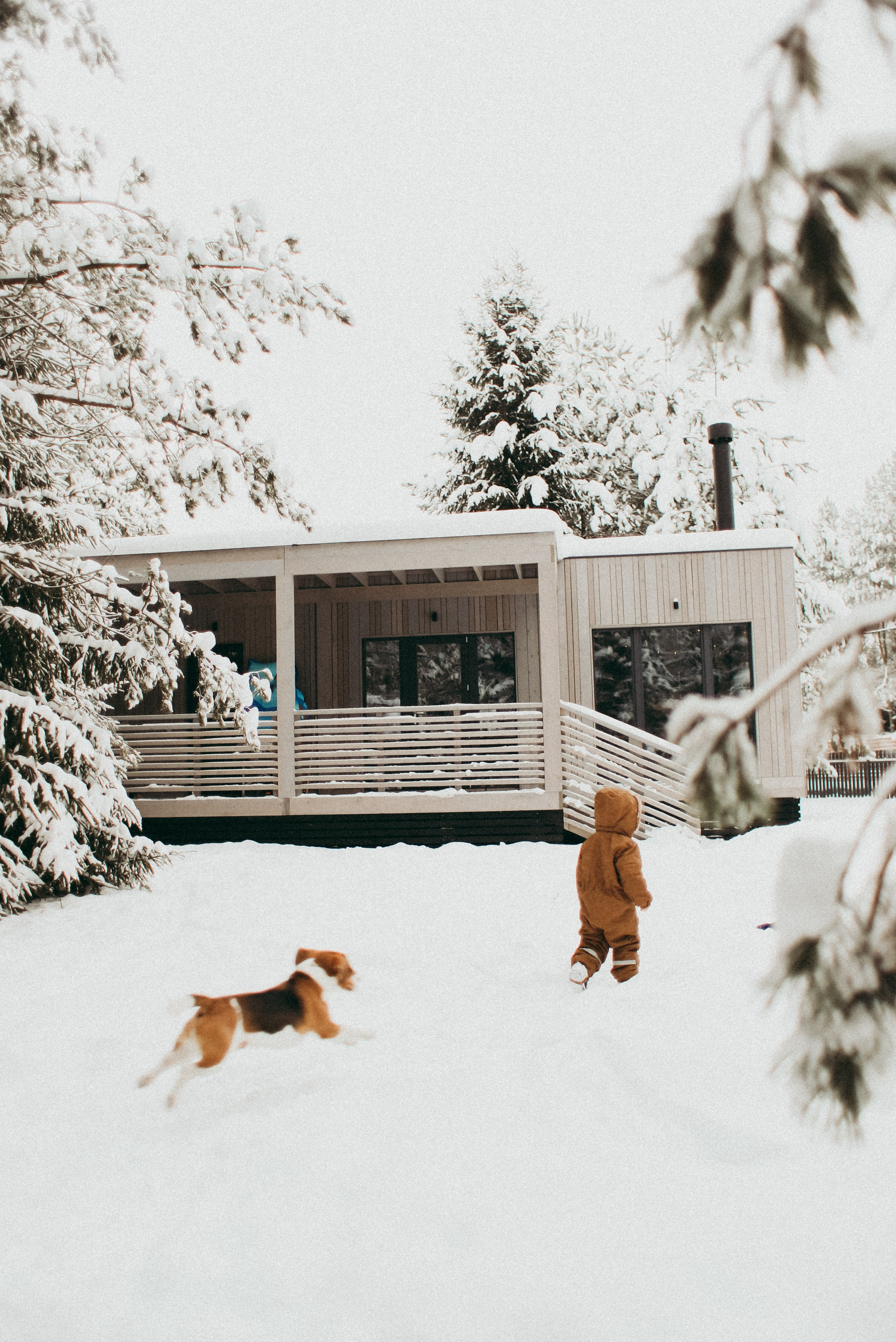 Семейное. Фотограф Москва и Санкт-Петербург