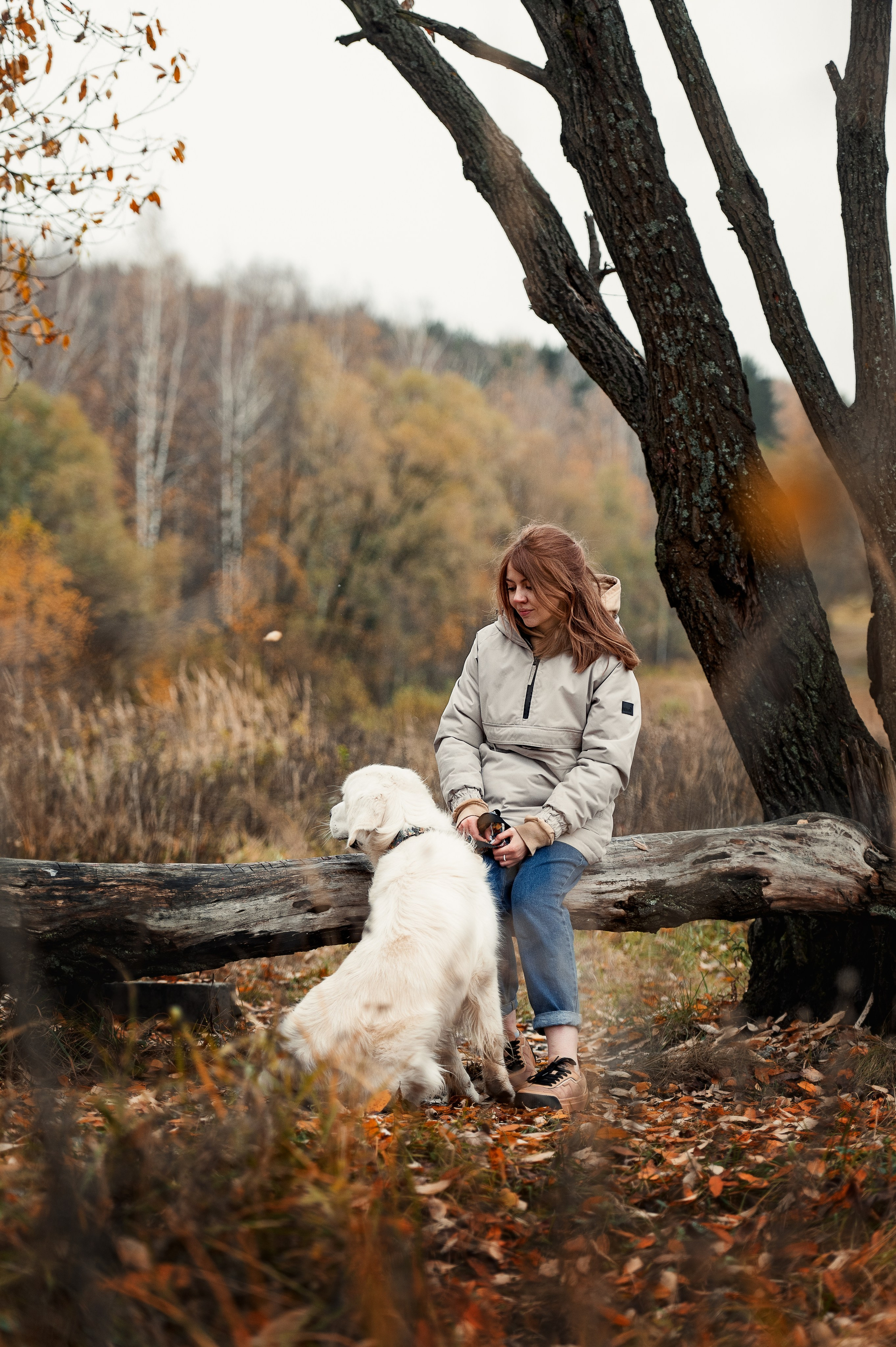 Айс и золотая осень. Фотограф-анималист