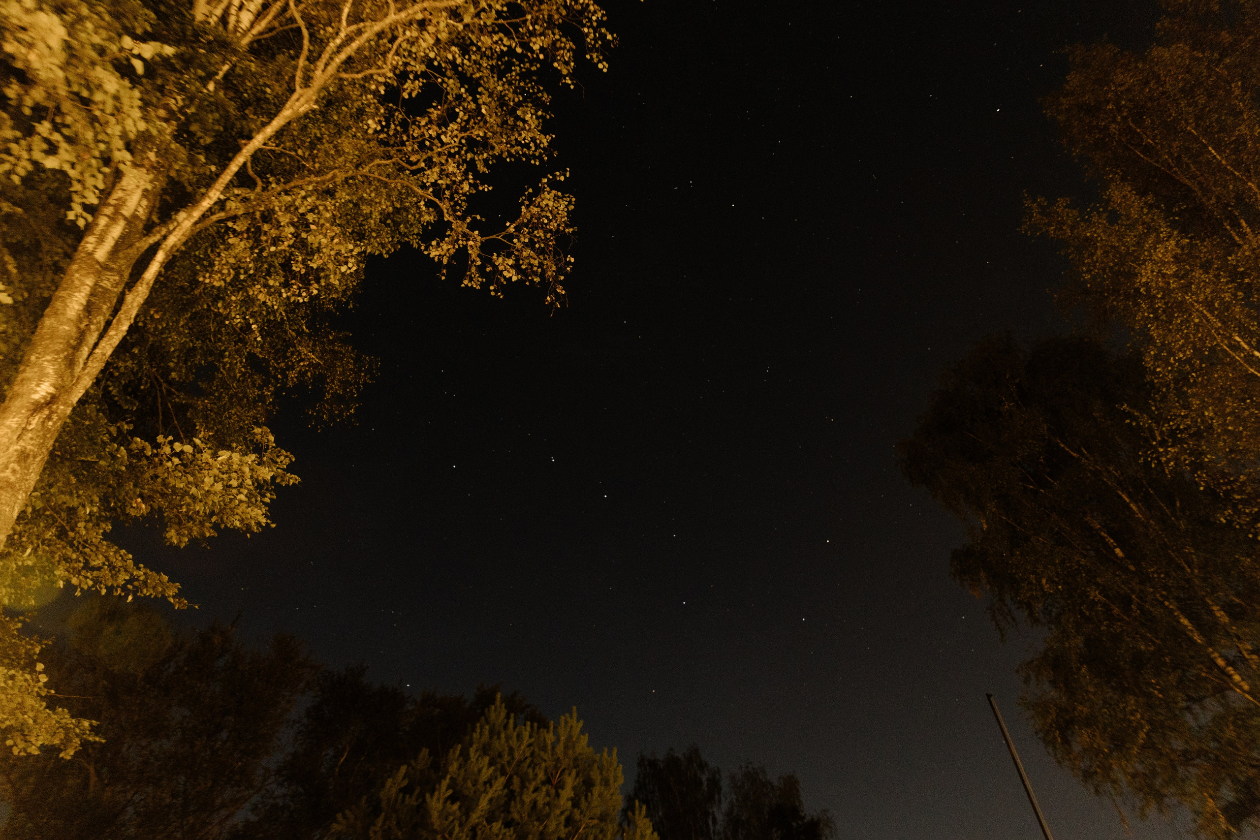 Коля и Олеся | 30.08. Портретный и свадебный фотограф в Москве Алина Гевал