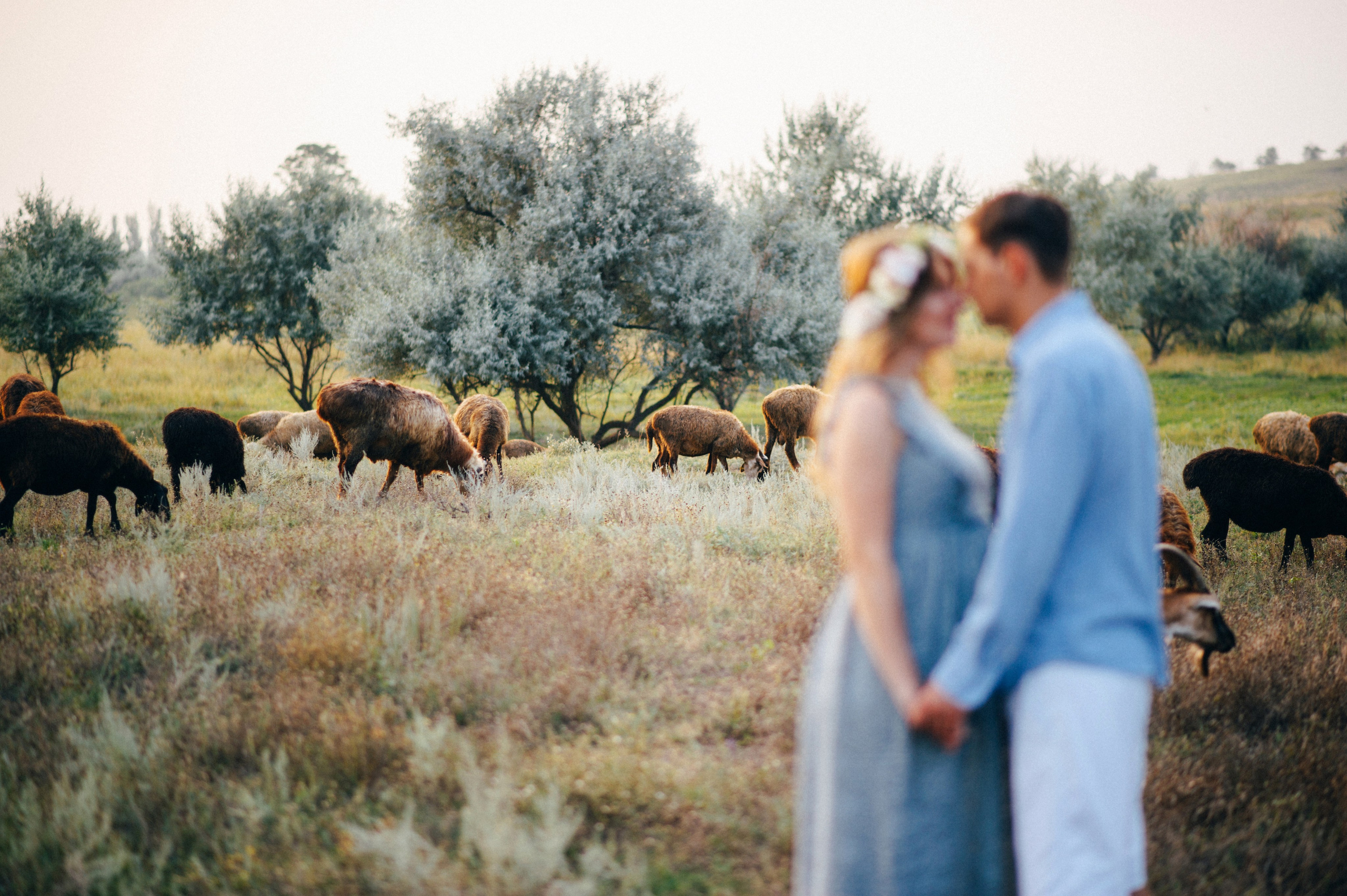 Оля и Боря. Свадебный фотограф/видеограф Максим Черников