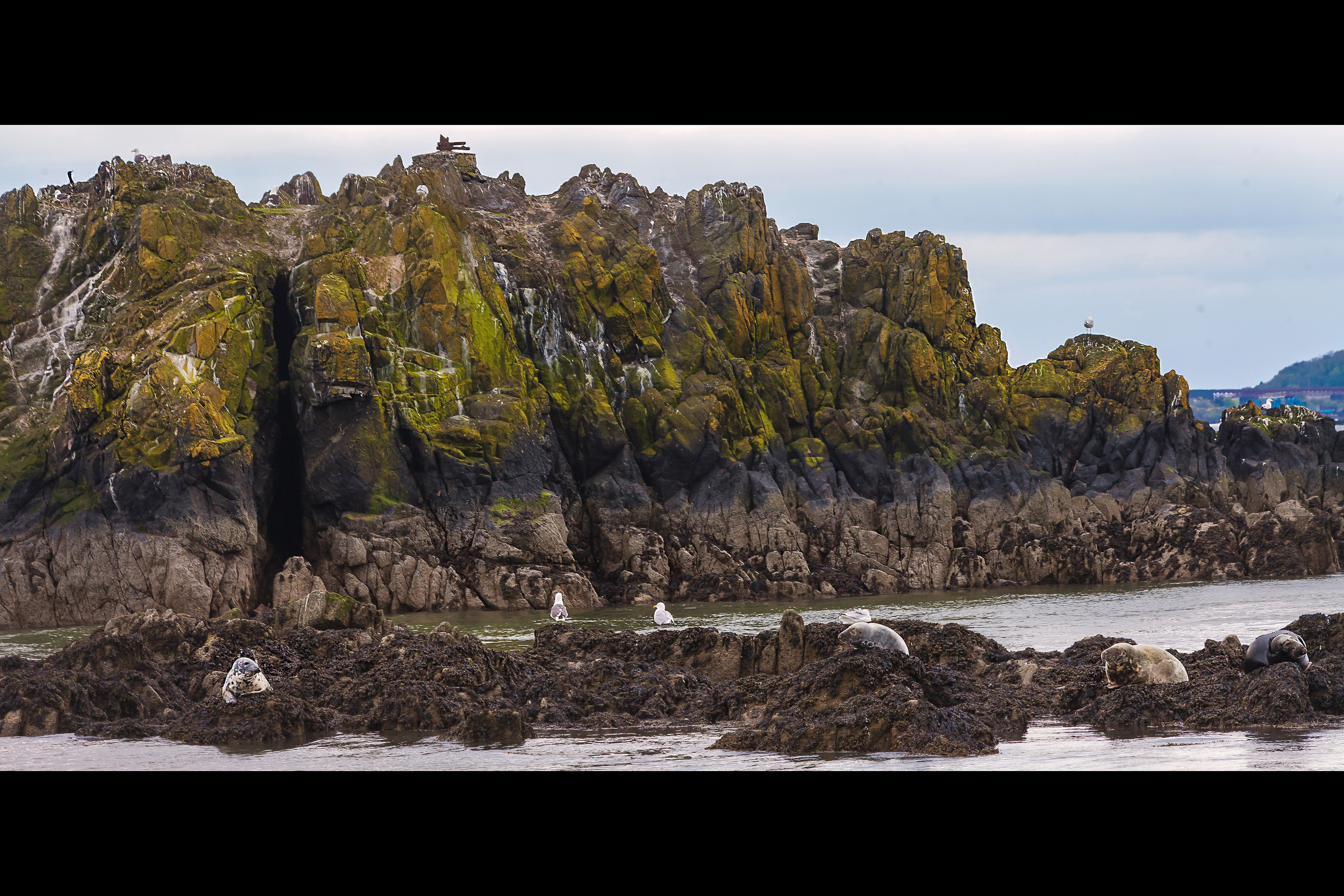 ШОНТЛАДНИЯ / SCOTLAND. Главная