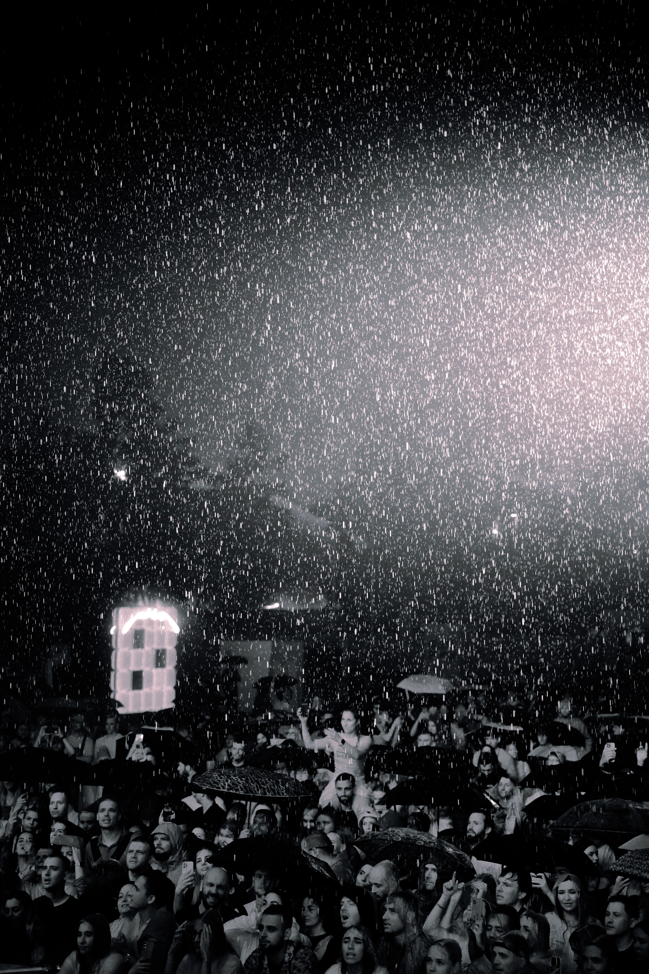 LOC-DOG. Фотограф Москва