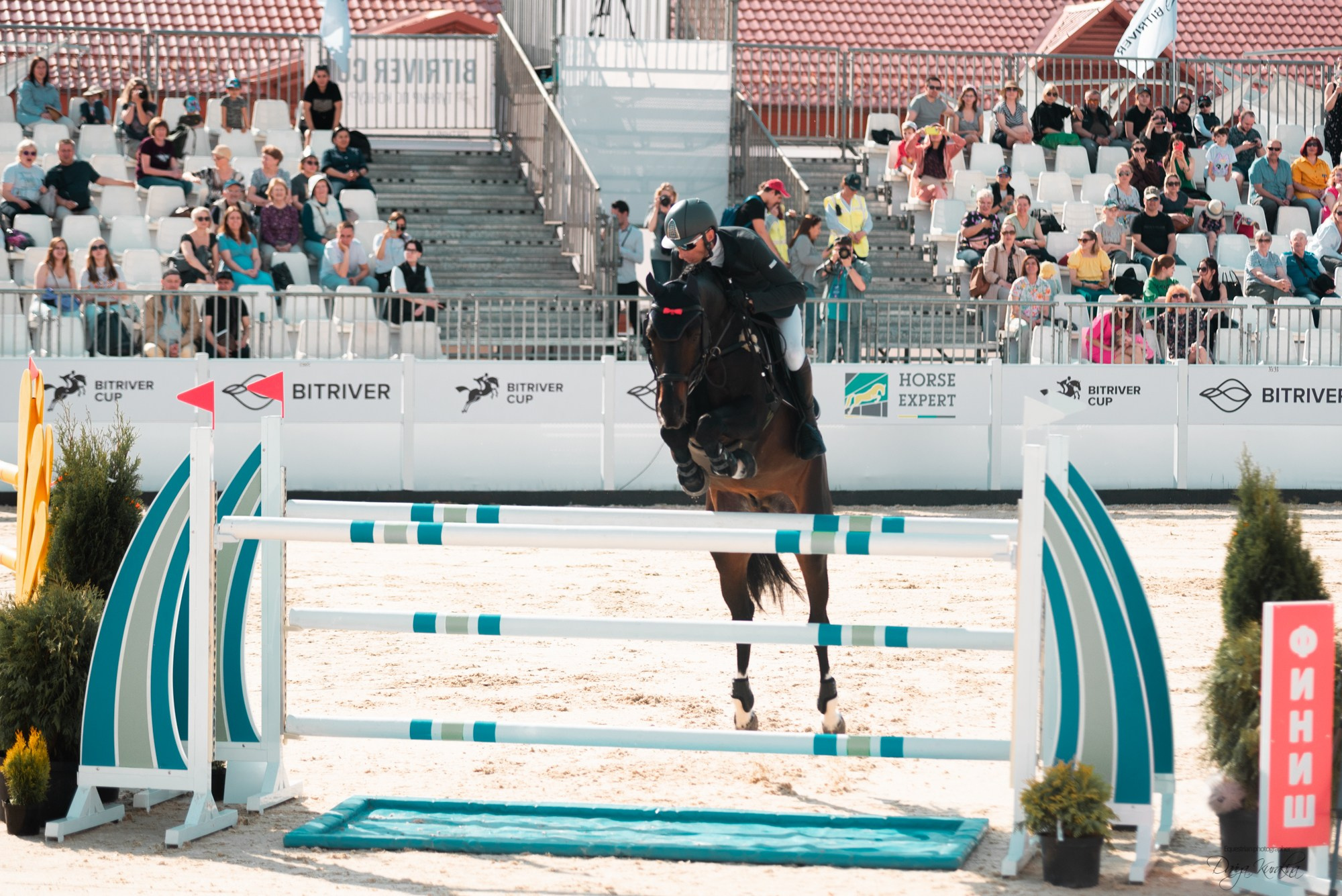 BITRIVER CUP 2023. Конный фотограф Куракина Дарья • Фотосессии с лошадьми