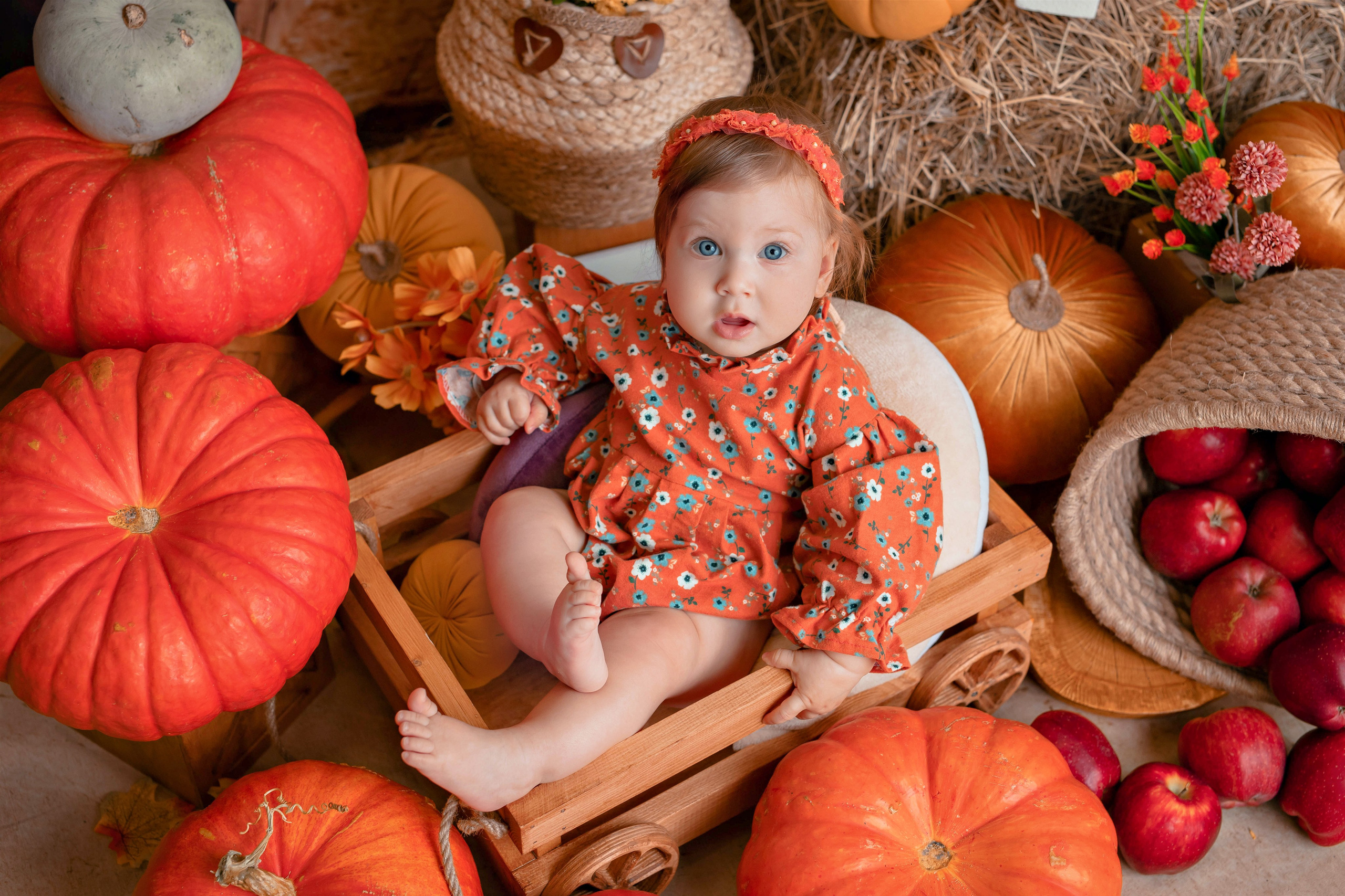 Тыквы. Фотограф Болотова Иветта