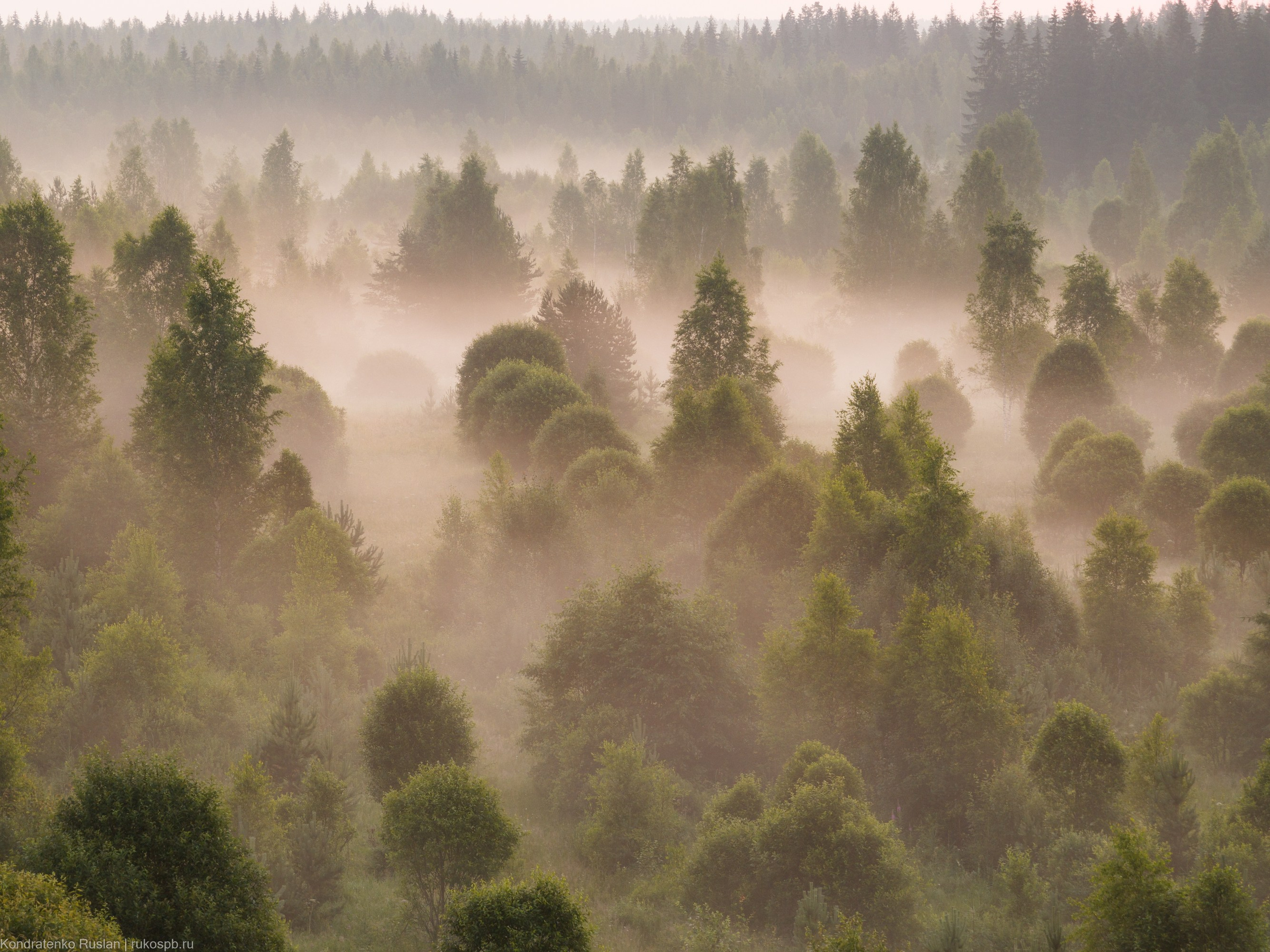 Ленинградская область. Архитектурный и пейзажный фотограф Кондратенко Руслан, Санкт-Петербург