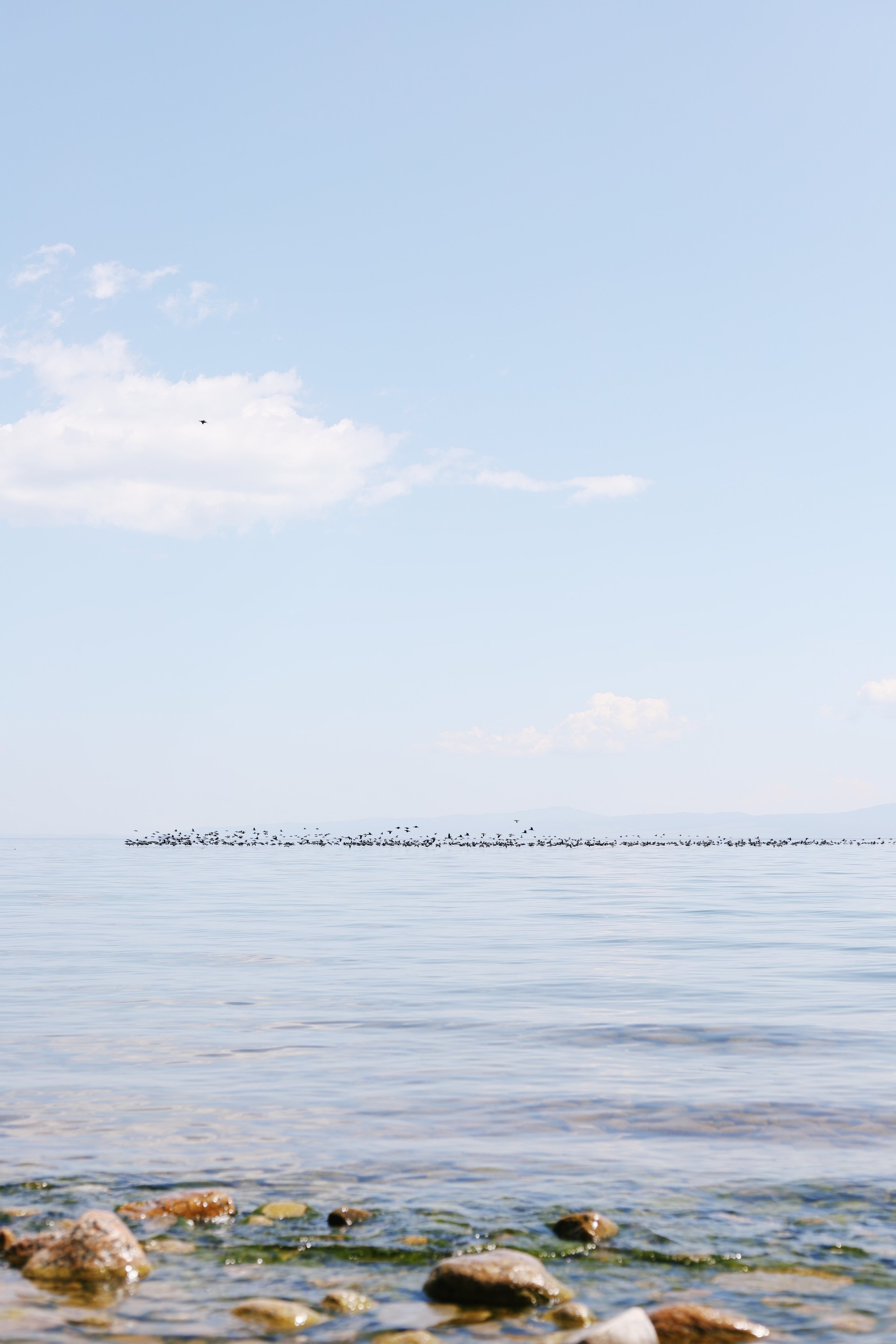 Лето 2024 / палатки. 1642 — первый лагерь для взрослых на Байкале