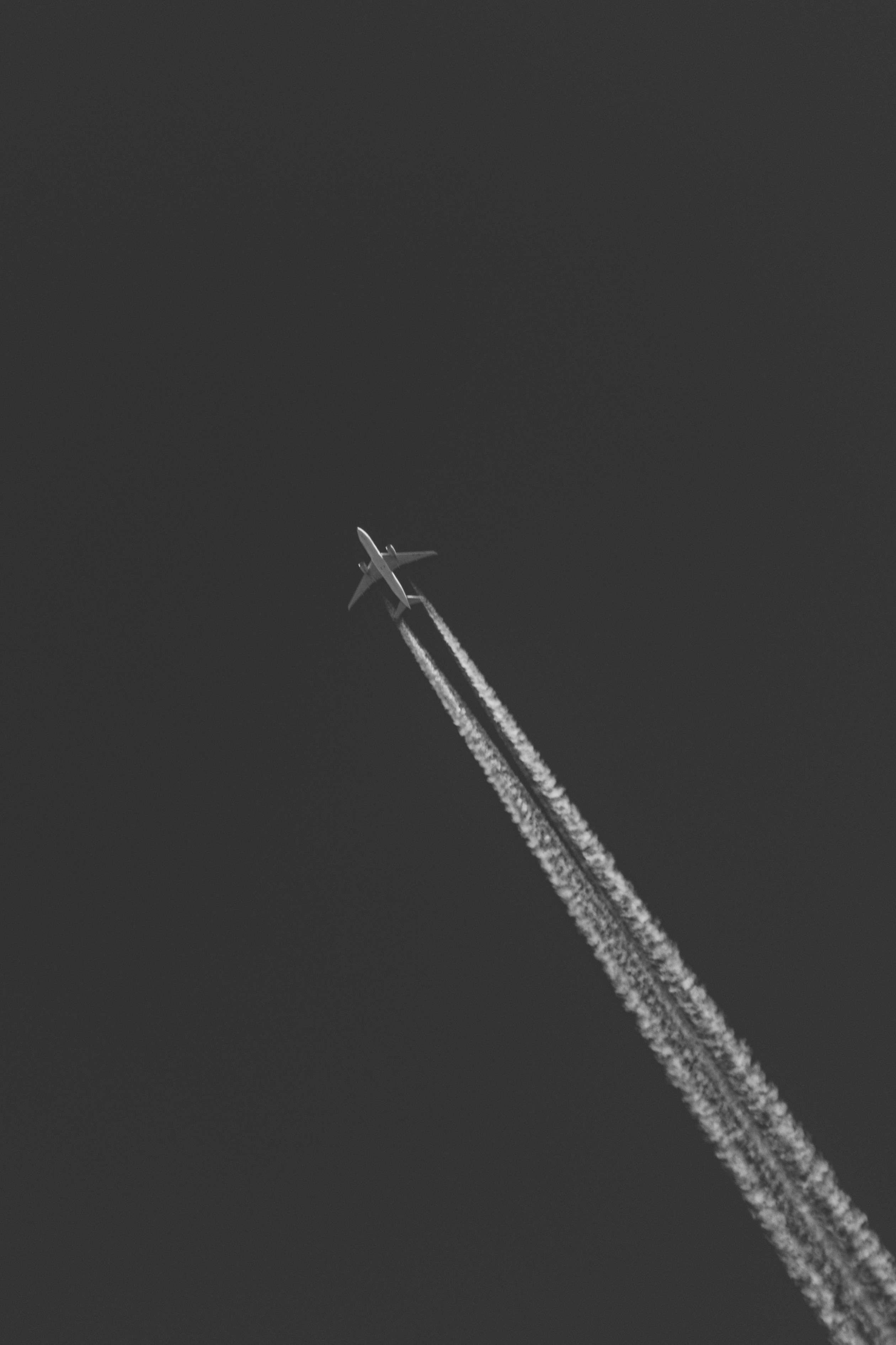 Ч \ Б. — Digital Noise —