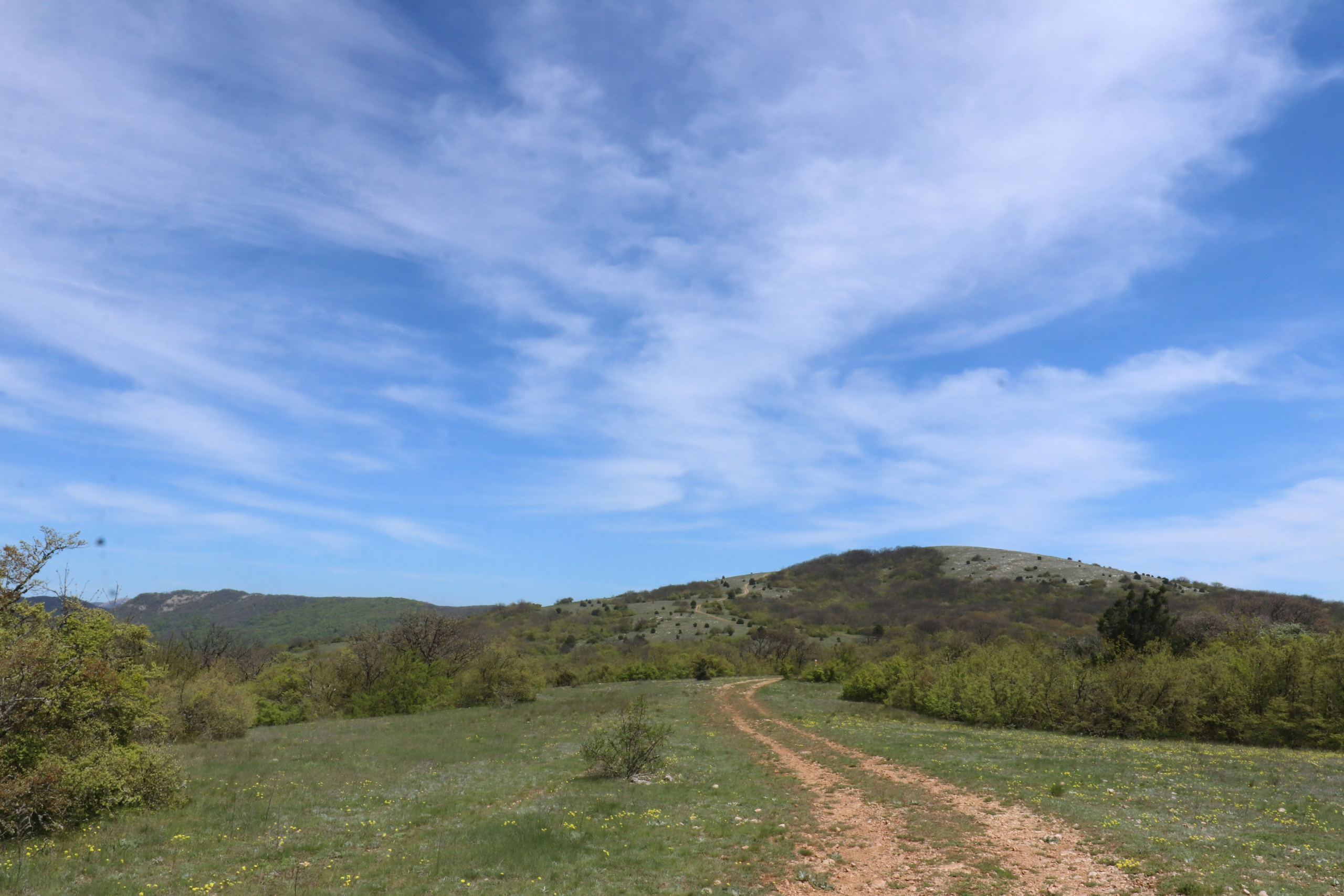 Крым. ЮБК (Севастополь, Кастрополь, Ялта). Май 2023. Путешественник-фотограф из Санкт-Петербурга Татьяна Свистулина