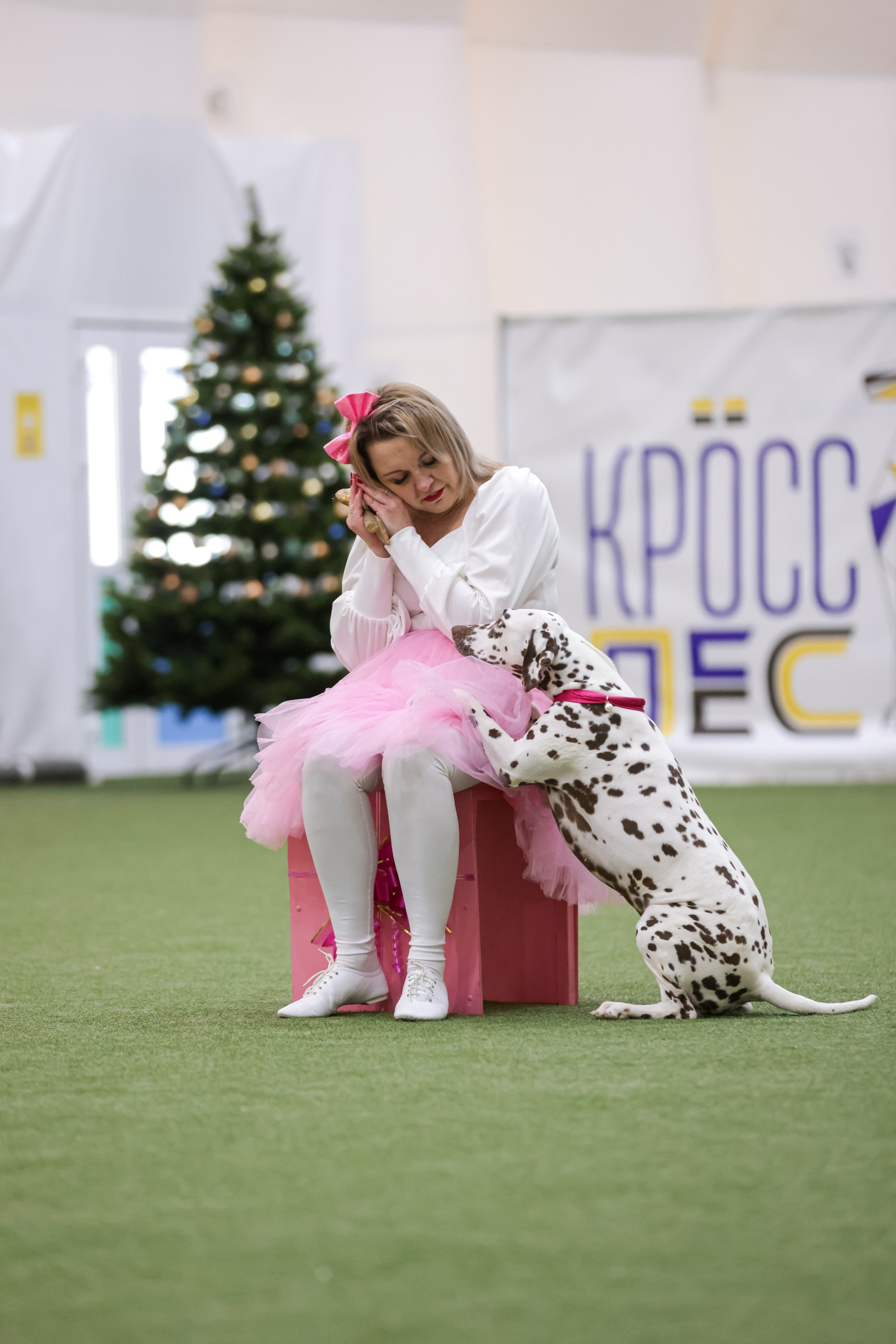 Репортажная съёмка спортивных мероприятий. ESHE_PHOTO Фотограф анималист в Москве и Московской области