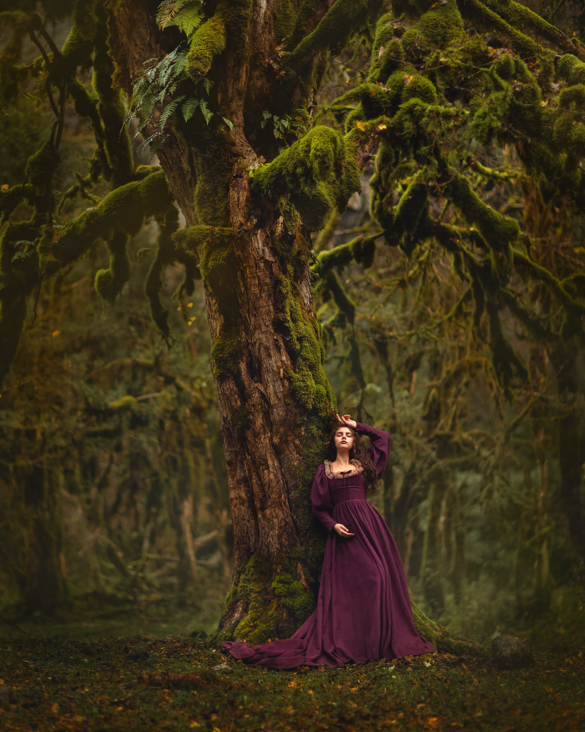 Самшитовый лес. Детский и семейный фотограф Елена Михайлова в Москве