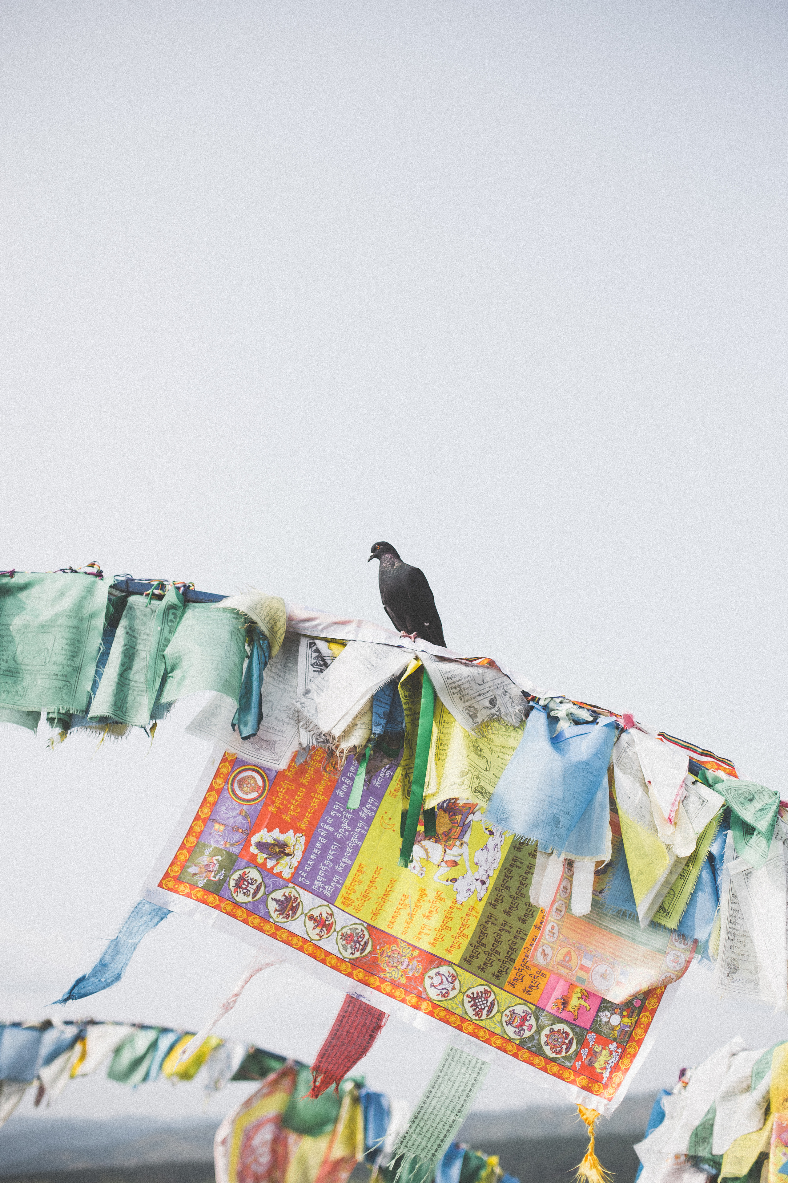 Семейная фотосессия в национальных костюмах. Семейный и детский фотограф в г. Улан-Удэ