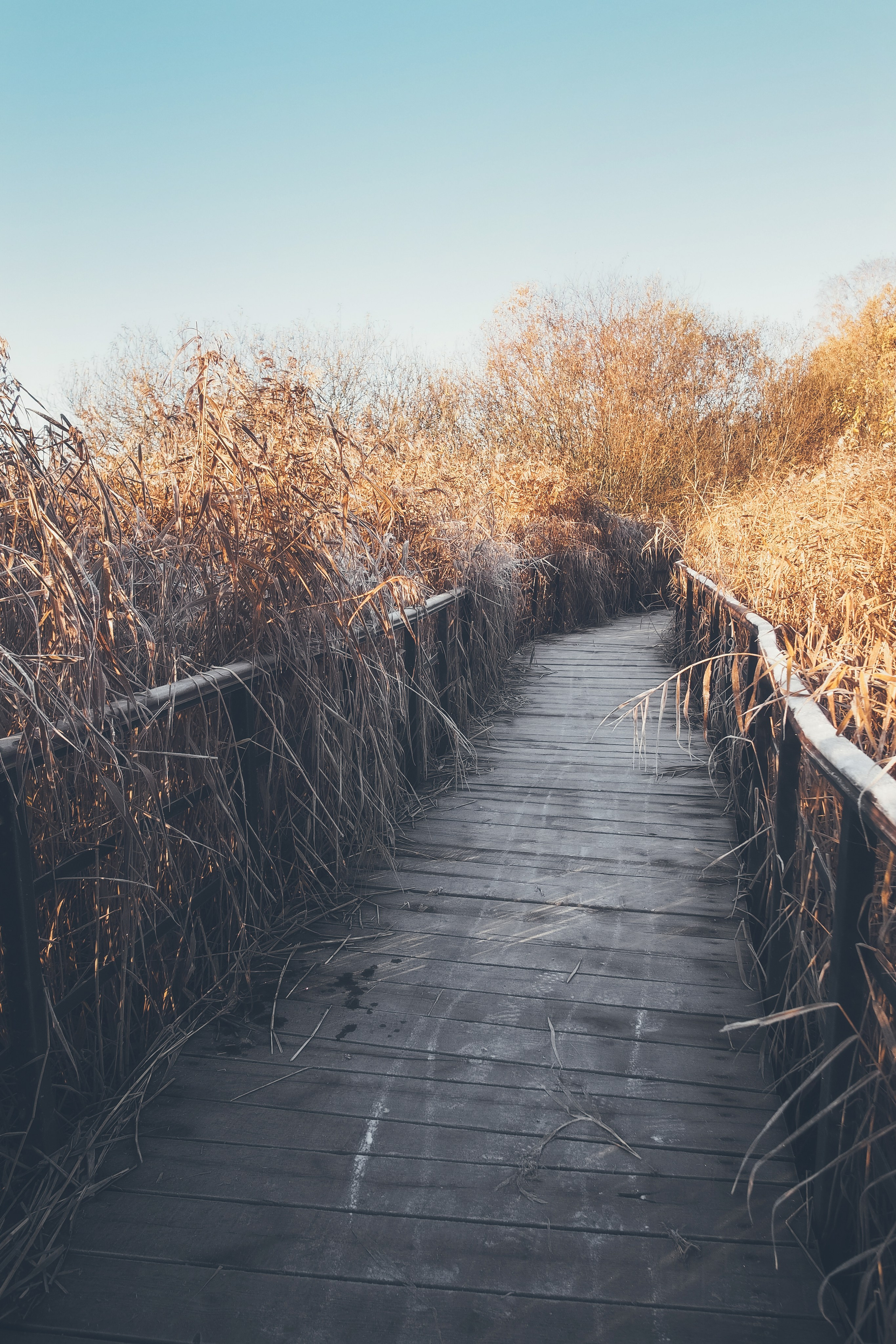 Другое. Свадебный фотограф Копков Геннадий