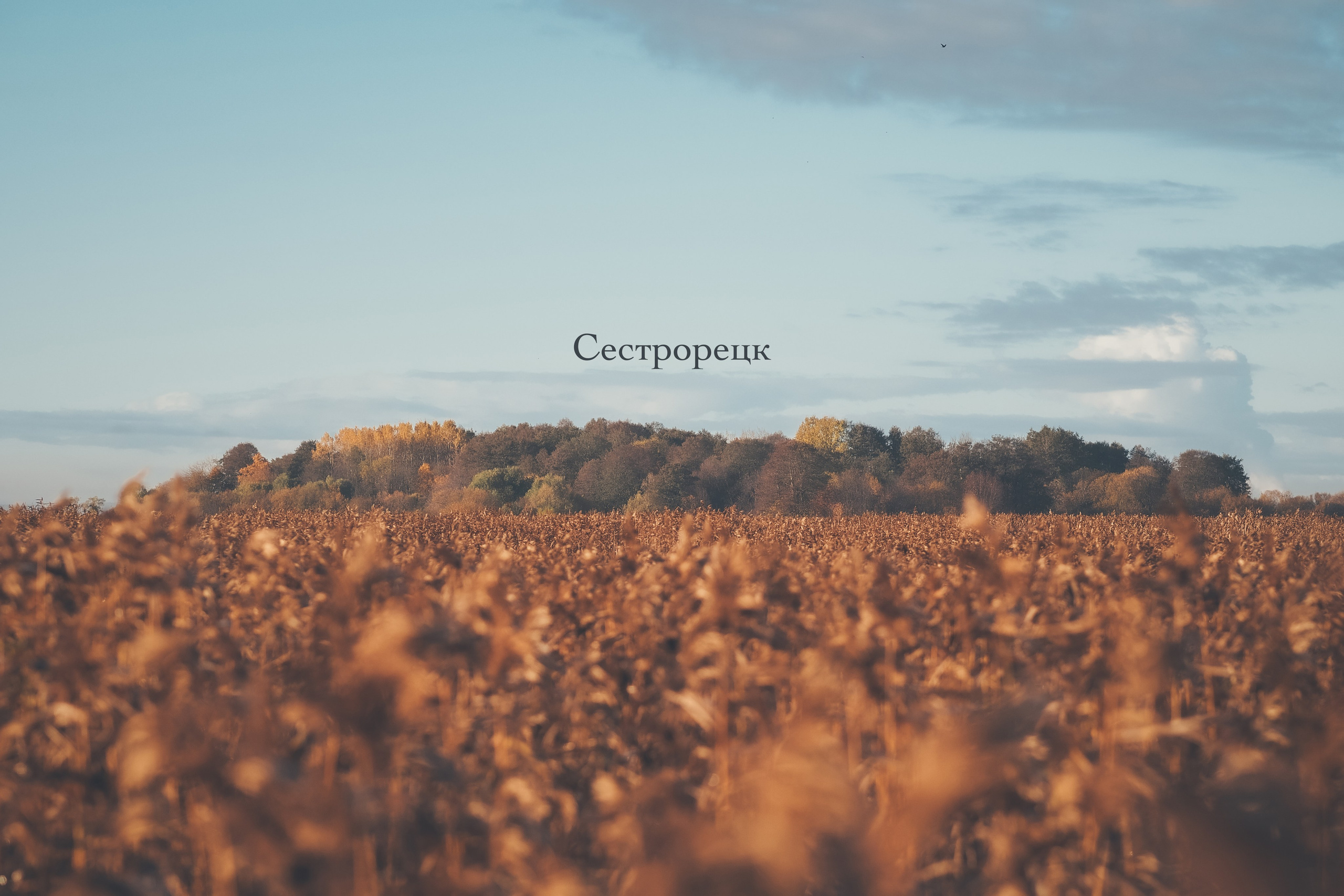 Сестрорецк. Свадебный фотограф Копков Геннадий