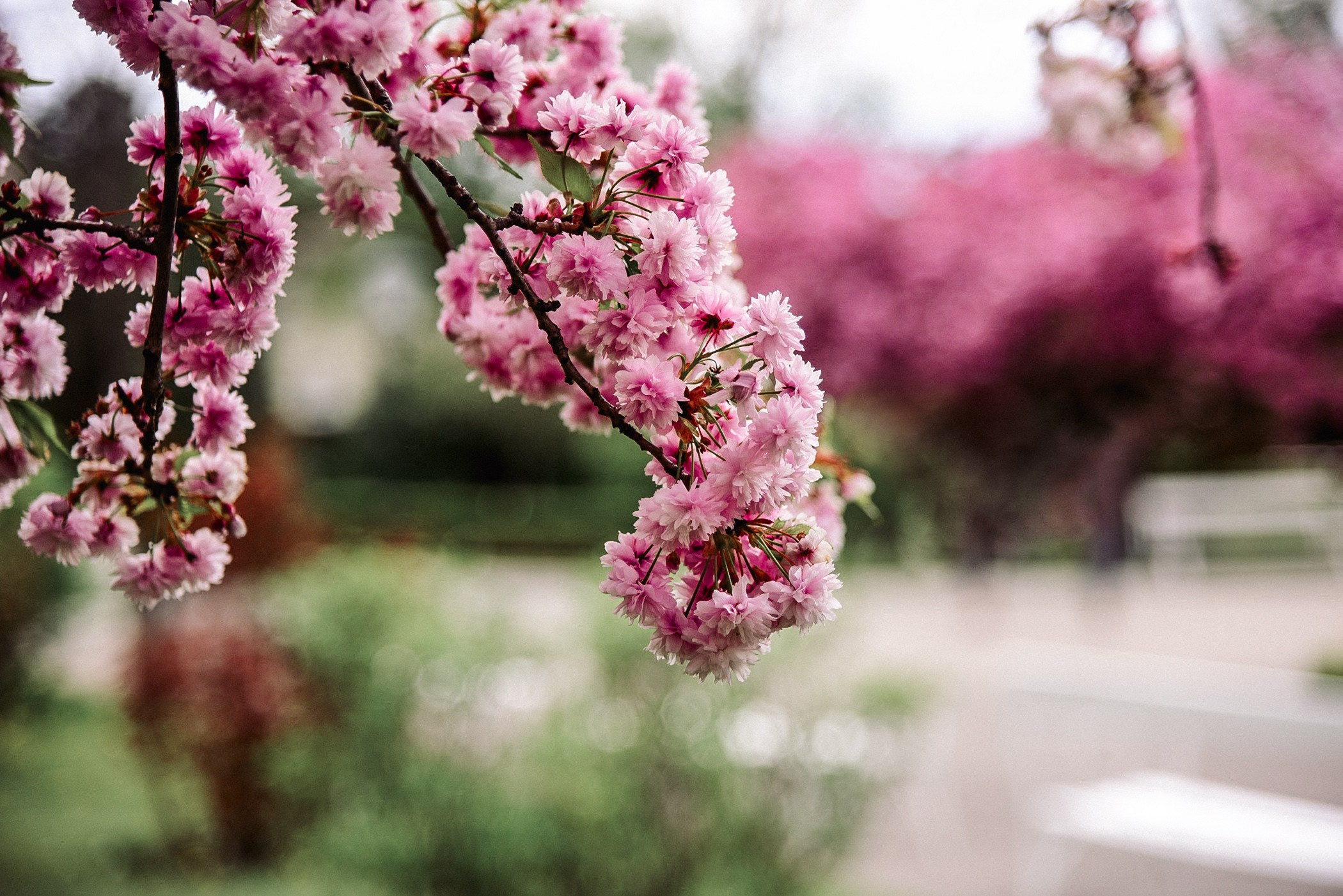 Предметная съемка. Фотограф в Москве Анастасия Бабкина