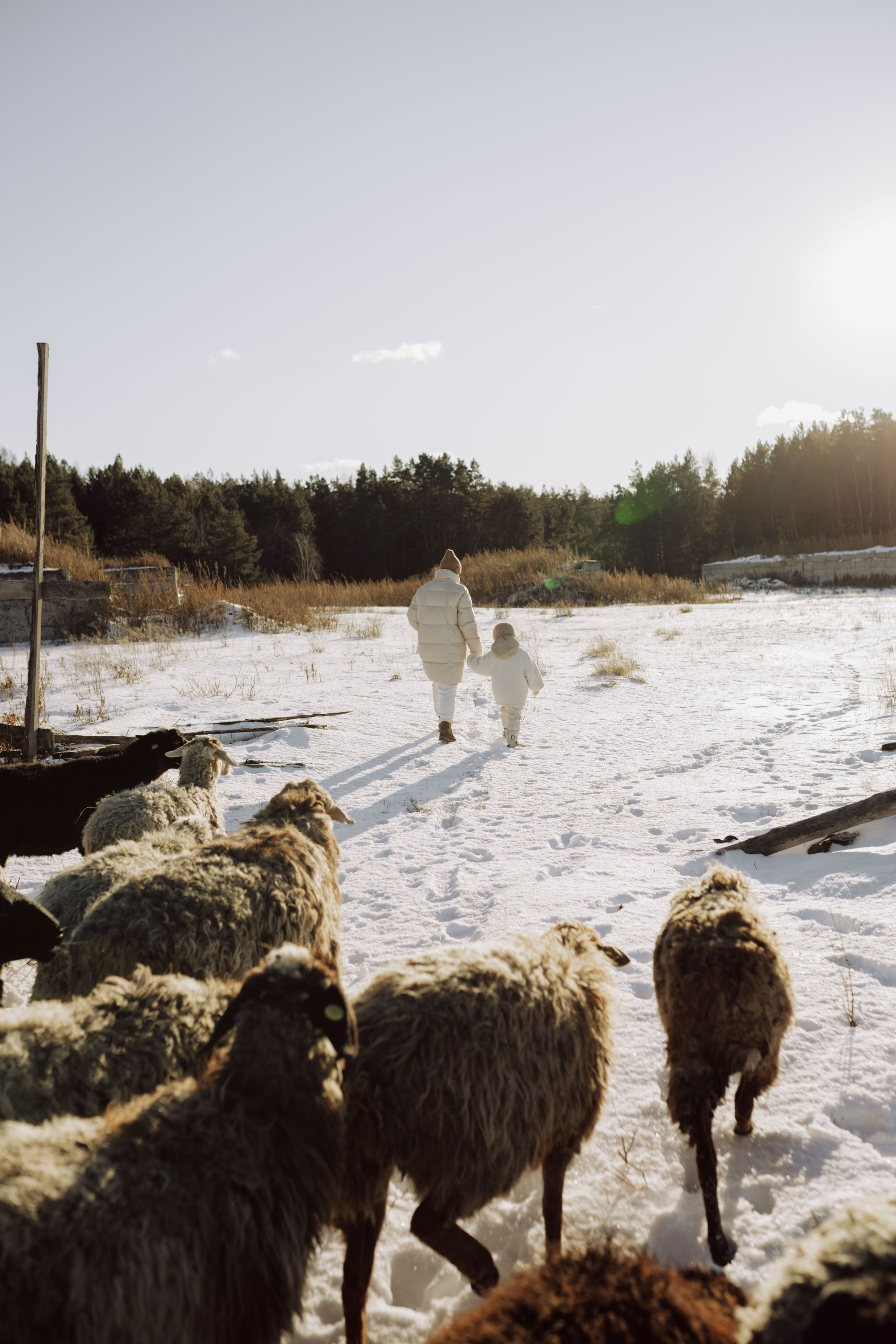 Наталья и Варя. Фотограф Стилист Тюмень Вера Хайруллина