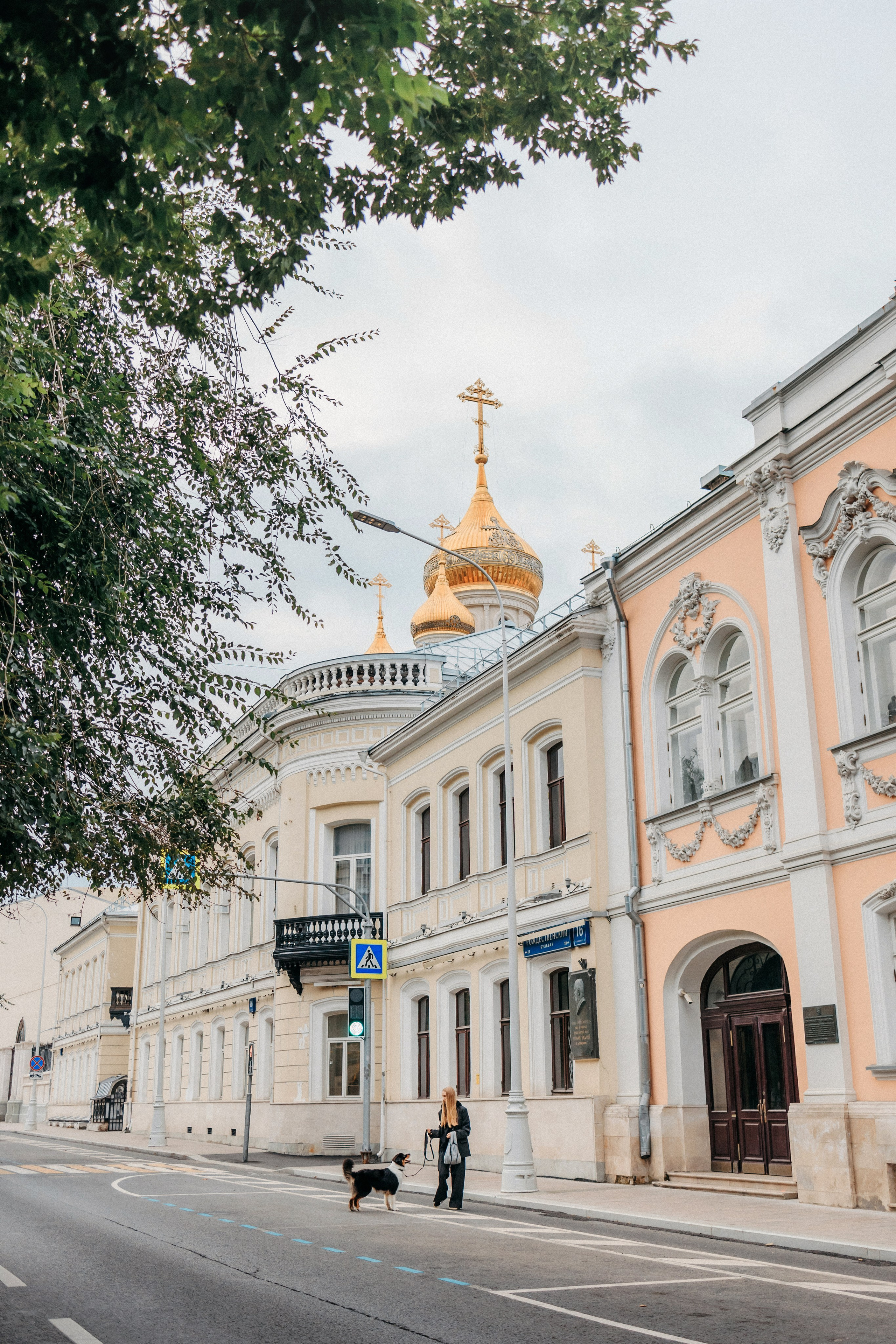 Лена и Рэй. Фотограф-анималист Елена Радченко, Москва