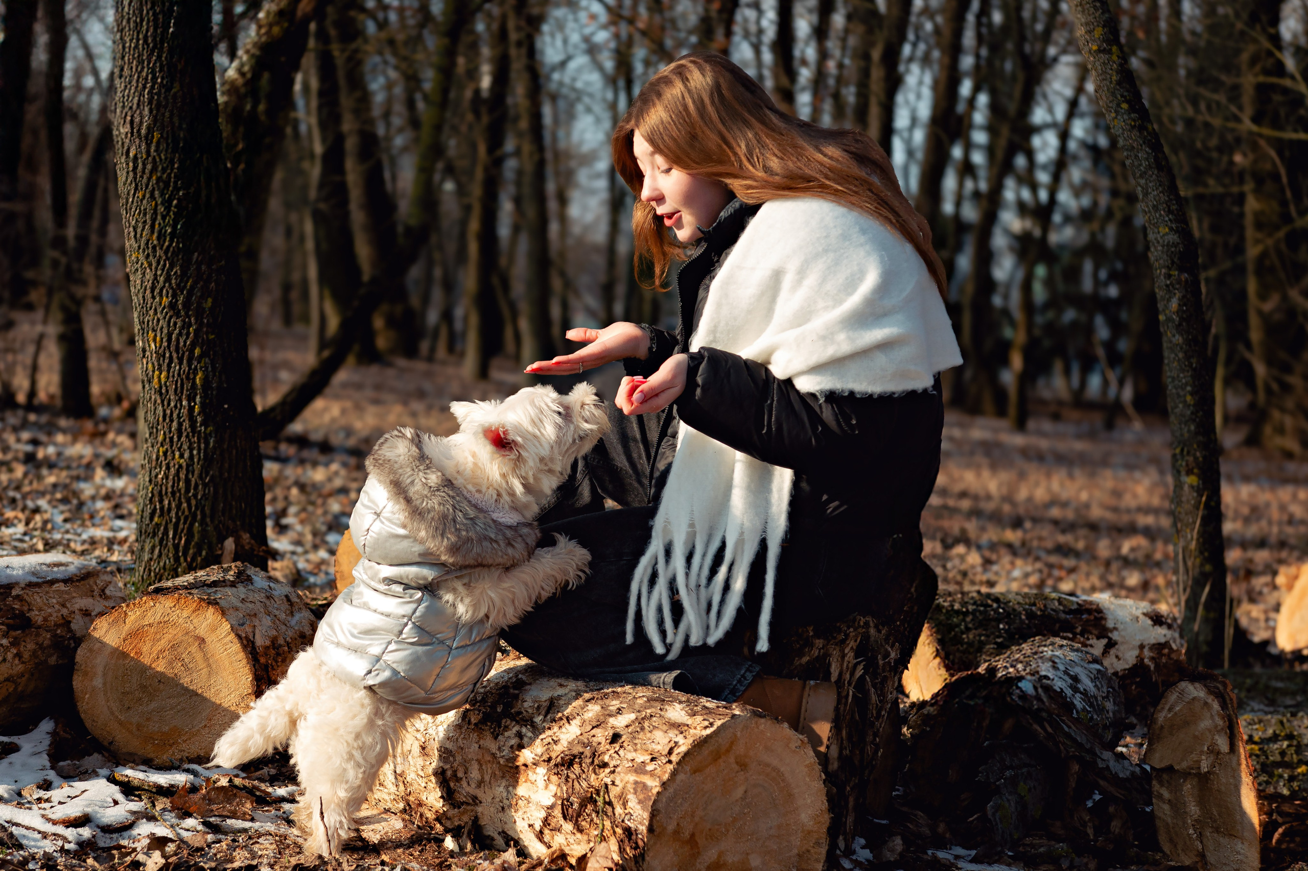 Фотосессия с щенком Минск