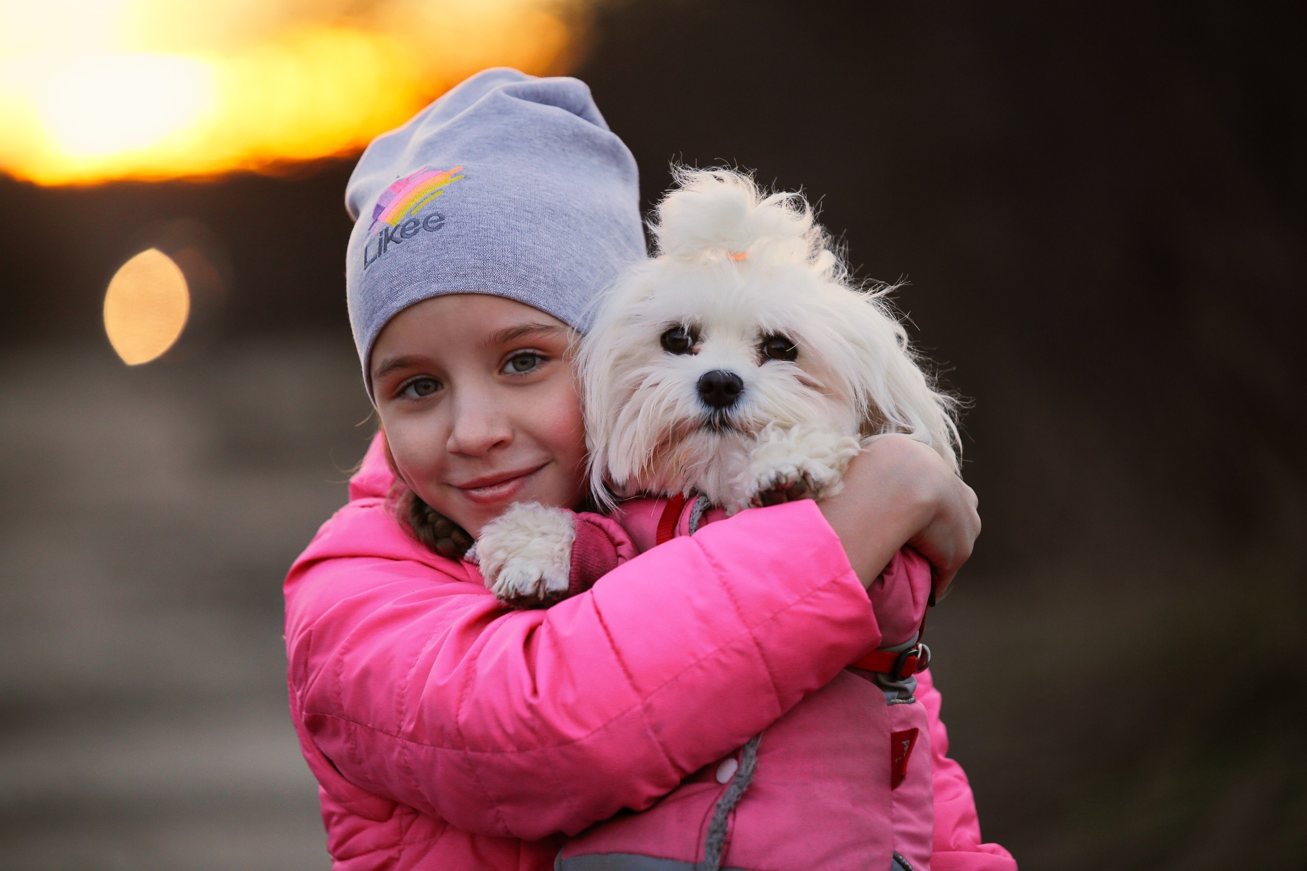 Четвероногие друзья. Репортажный, семейный, школьный фотограф в Иванове Инна Крылова